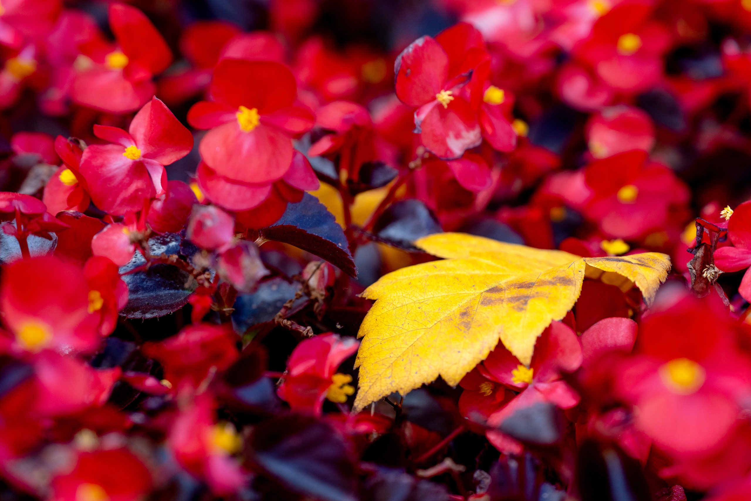 СТРИТ И ПРИРОДА. Репортажный фотограф Наталья Лапцевич