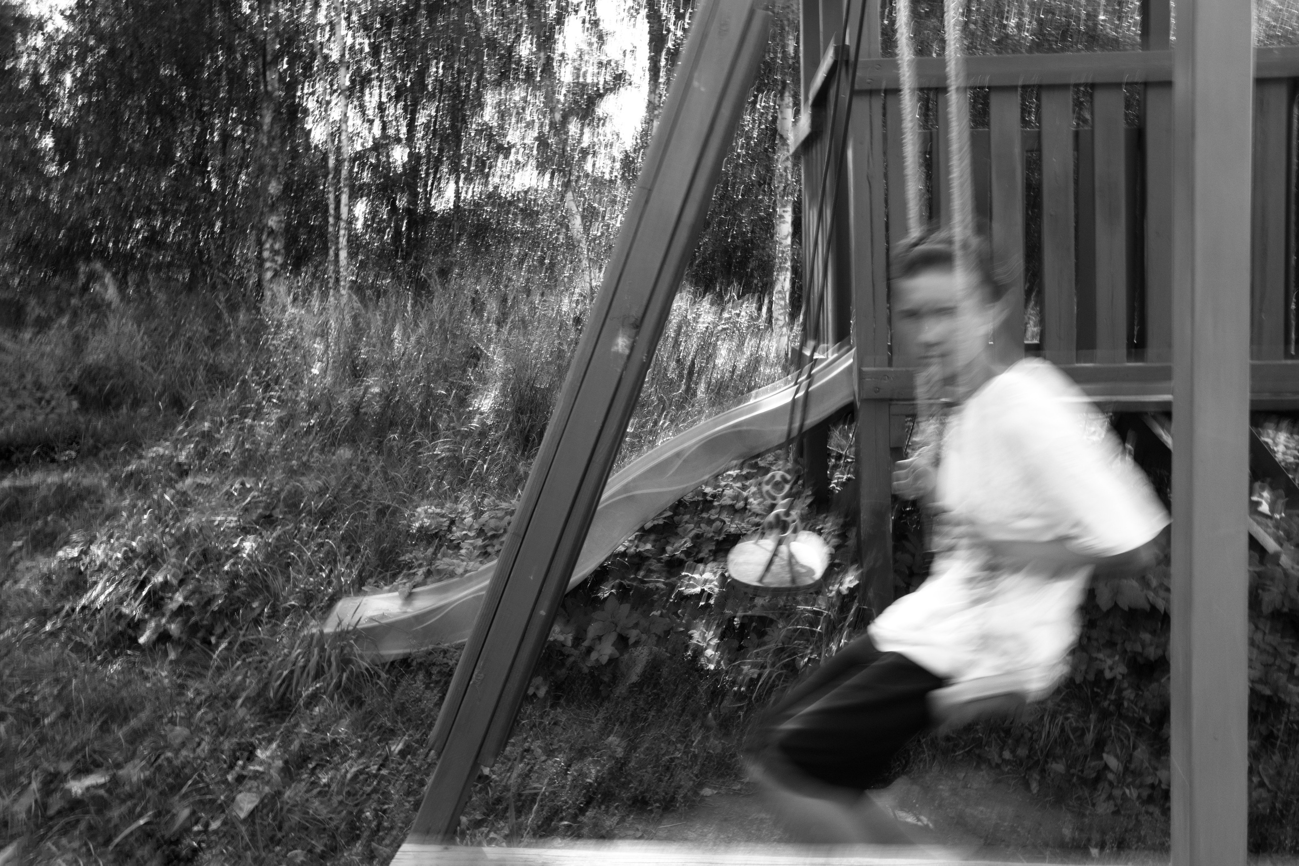 Мир тропы. Tatiana Mishchenko