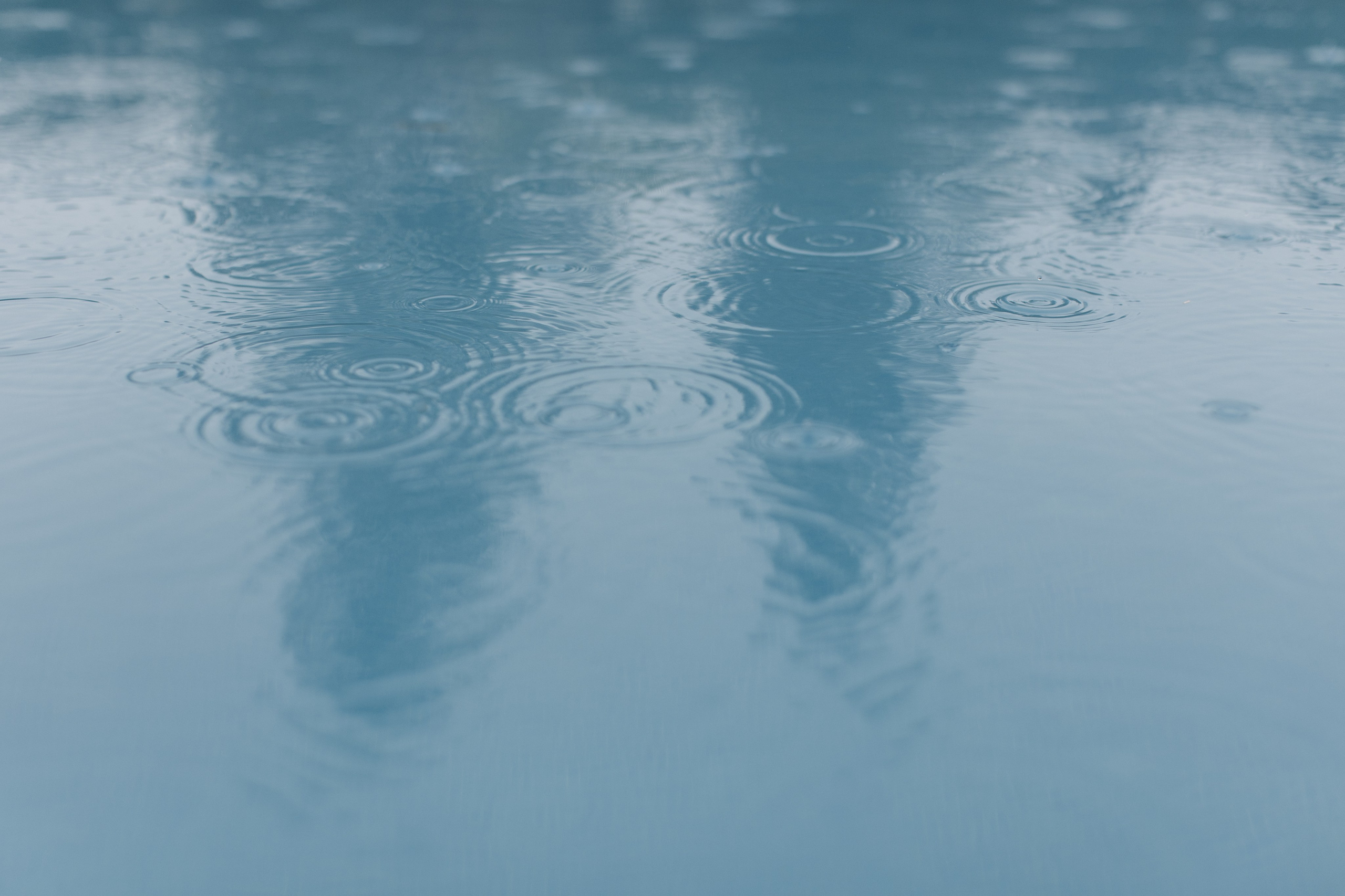 Португальская история. Свадебный и портретный фотограф