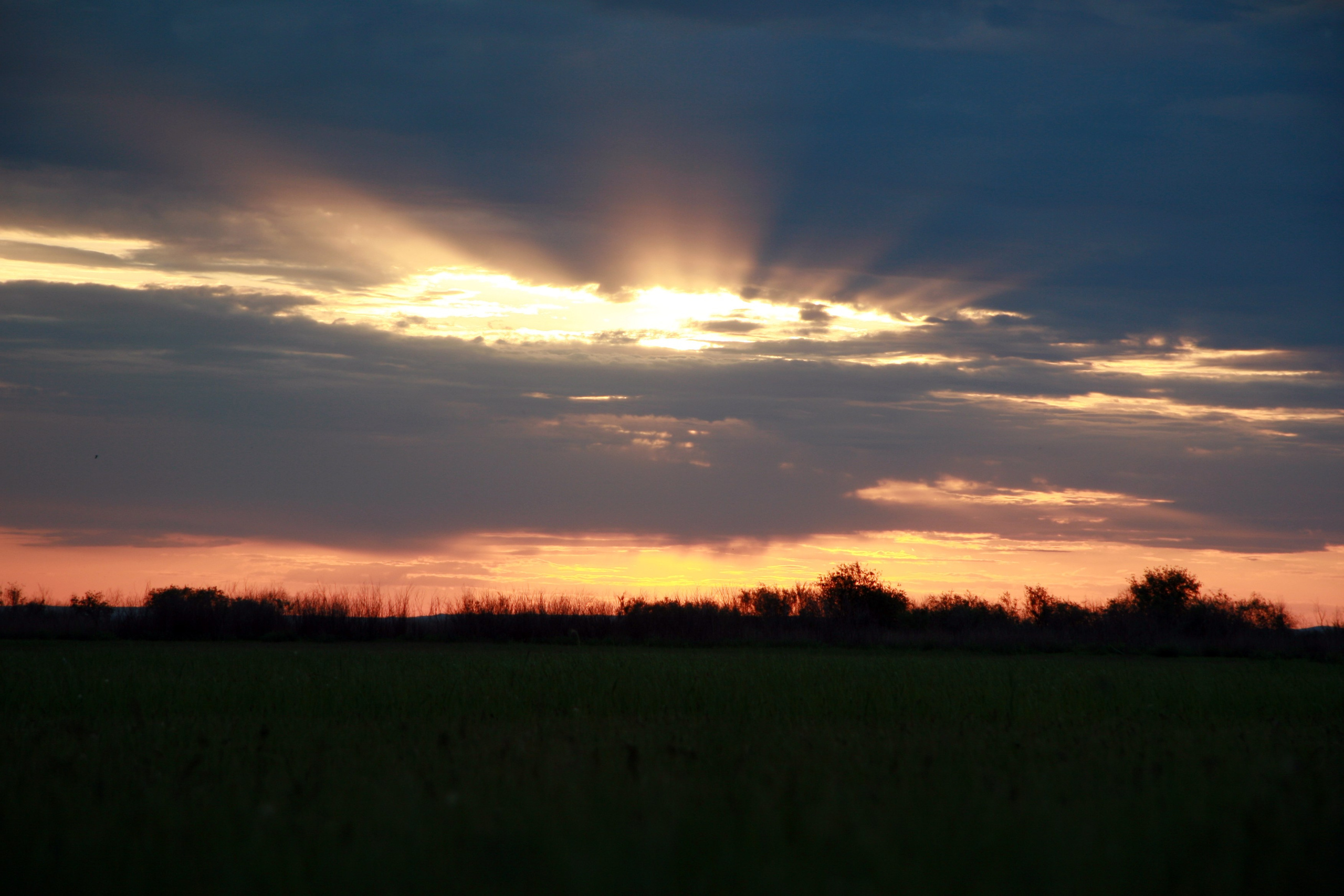 Фото Природы Забайкалья. Студия Максима Белослюдцева