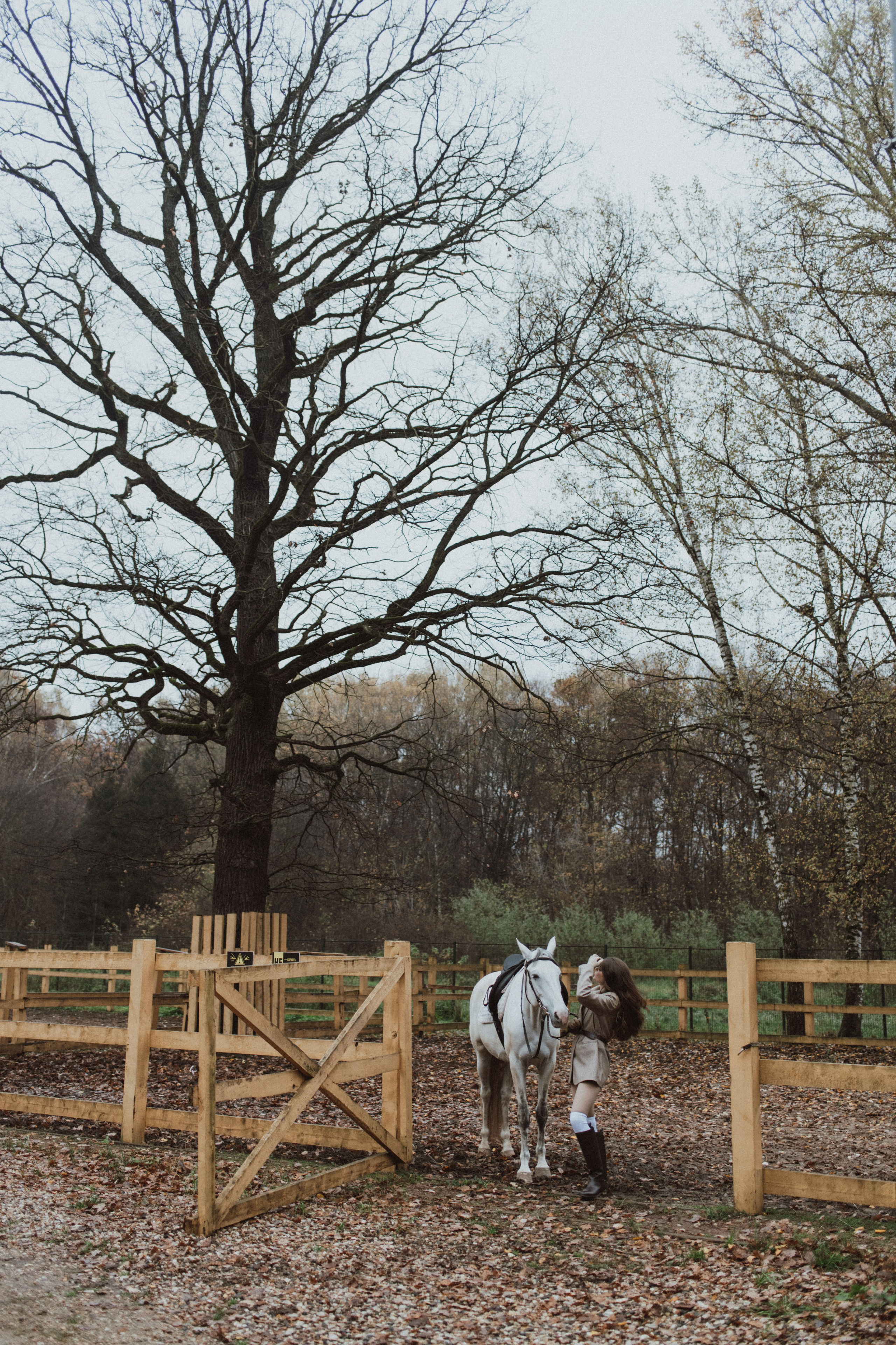 «Осенний ветер и грациозный скакун». Фотограф в Москве/Зарайске Шахова Марина