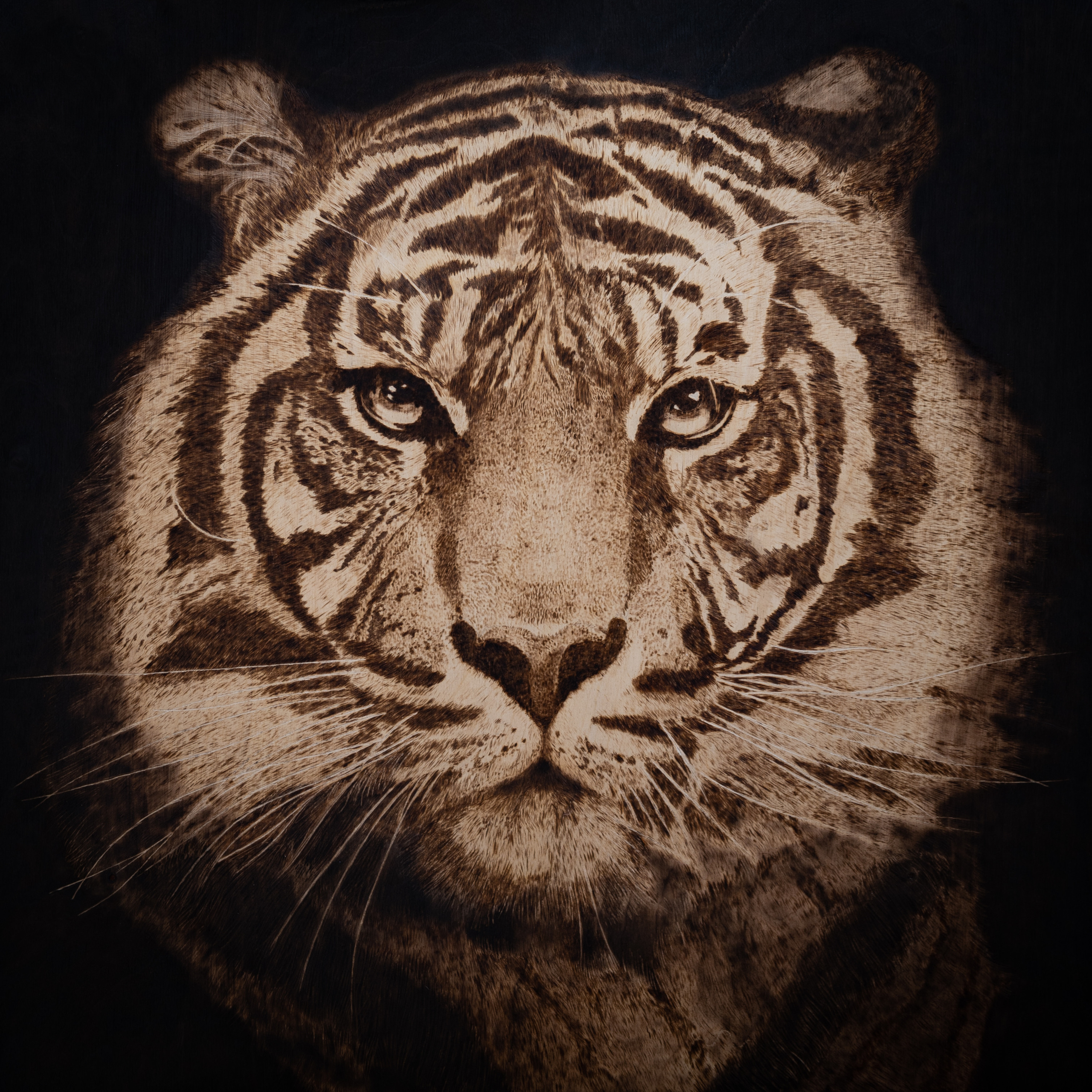 Пирография. Репортажный Фотограф во Владивостоке и России Осипчук Дмитрий