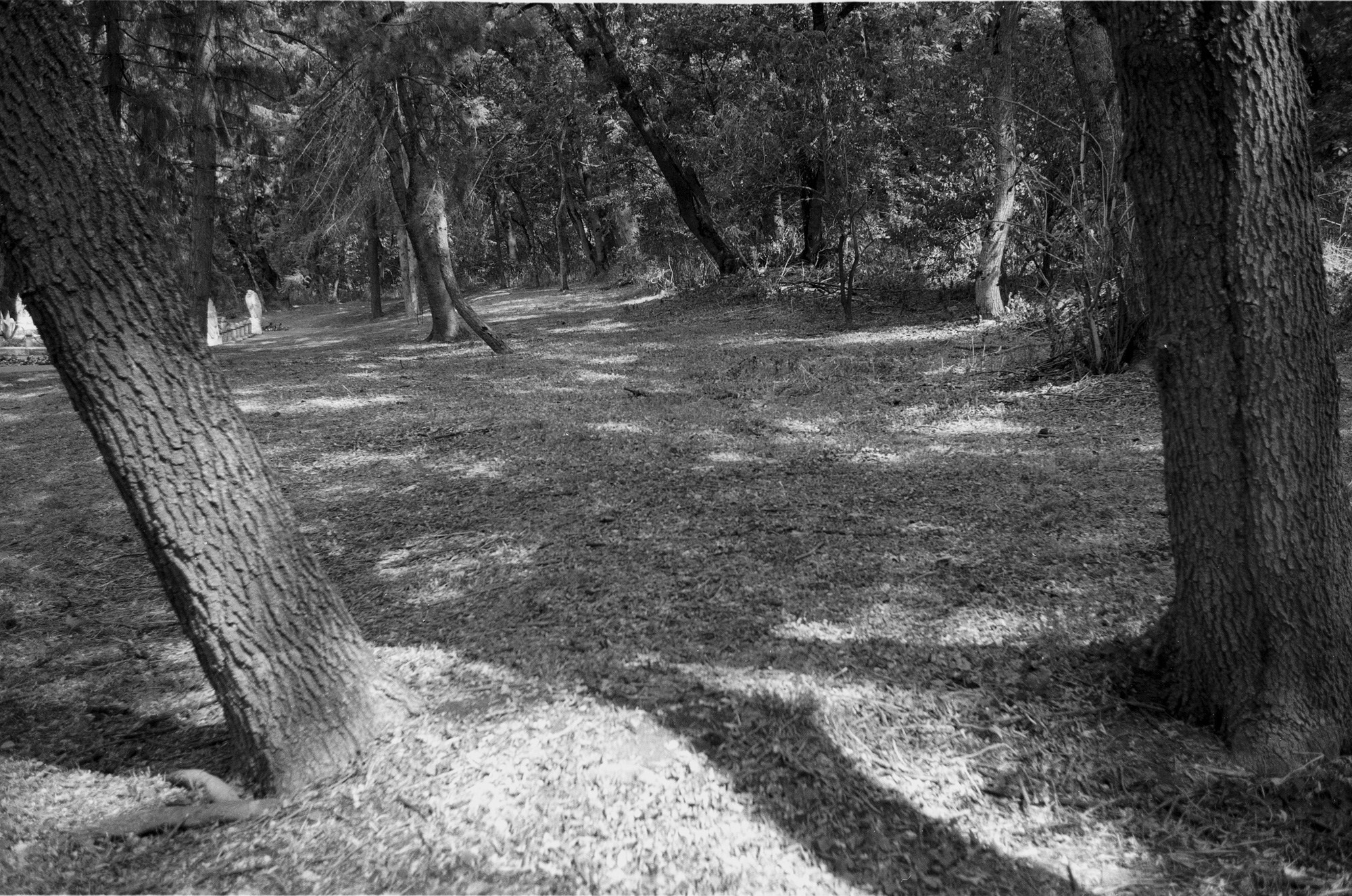 Пятигорск. Другой Павел Поцелуев. Фотограф в 2025 году