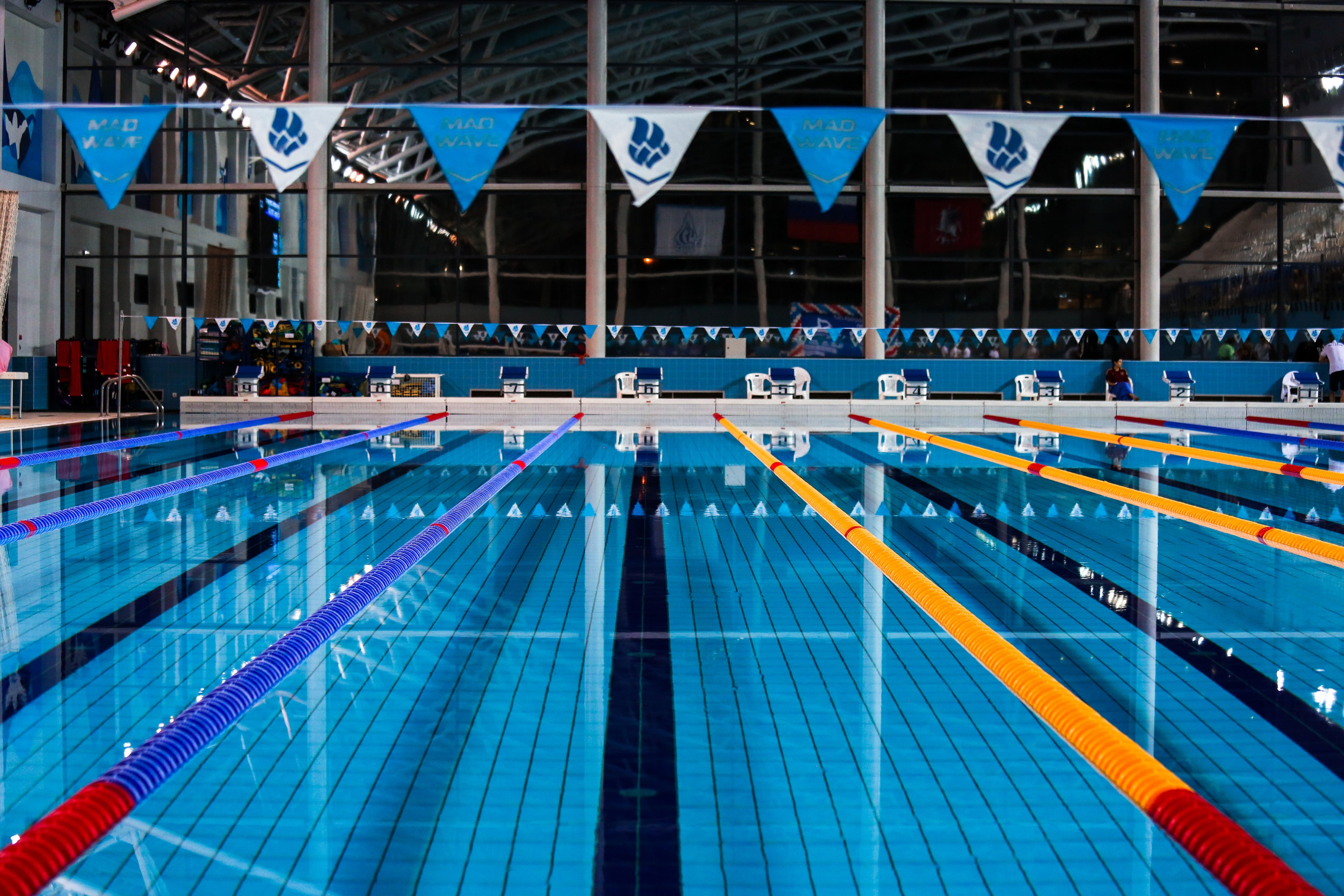 Соревнования по плаванию. Репортажный, семейный, свадебный, портретный фотограф