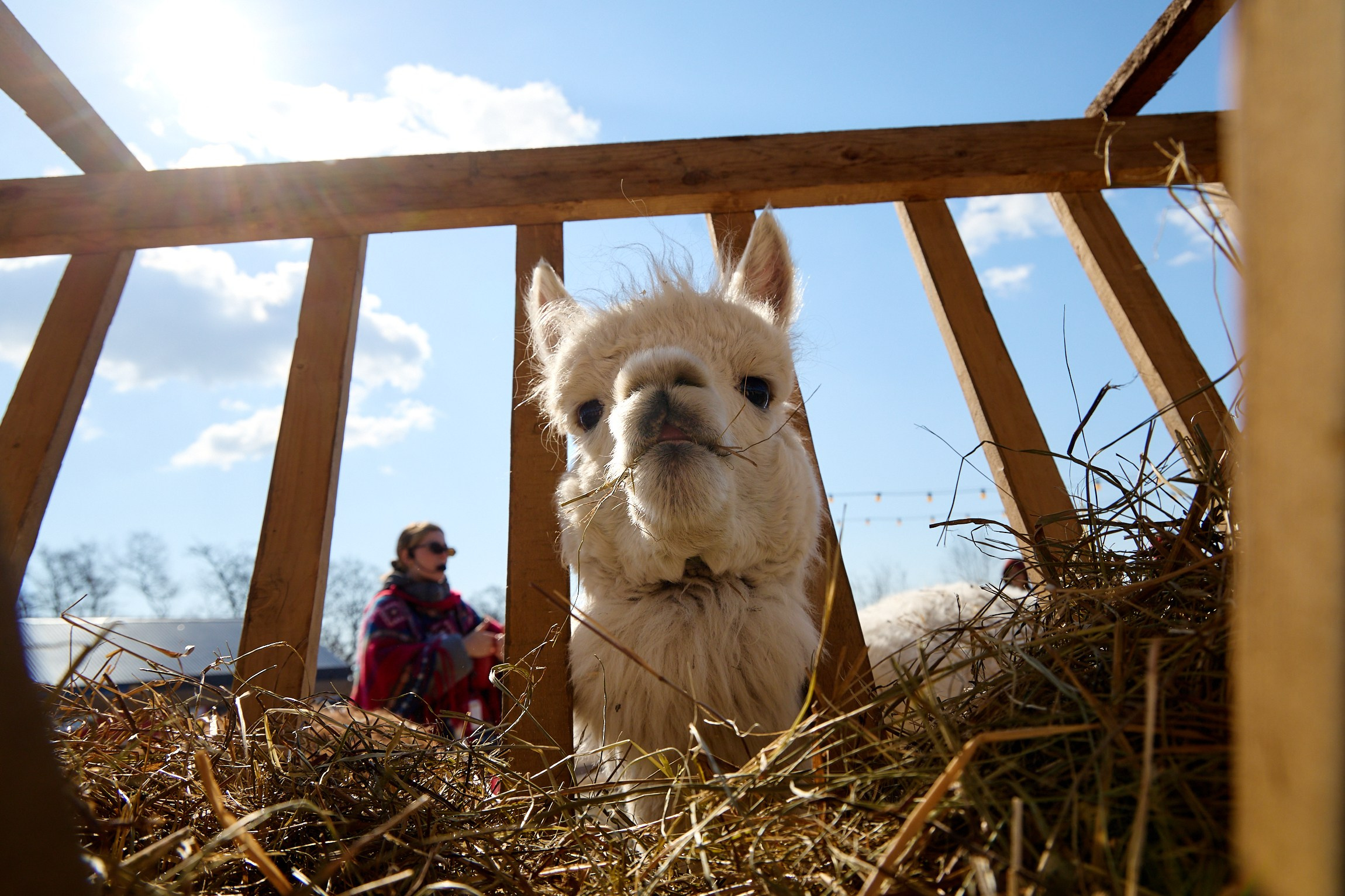 Тихоокеанская проектная школа 2025