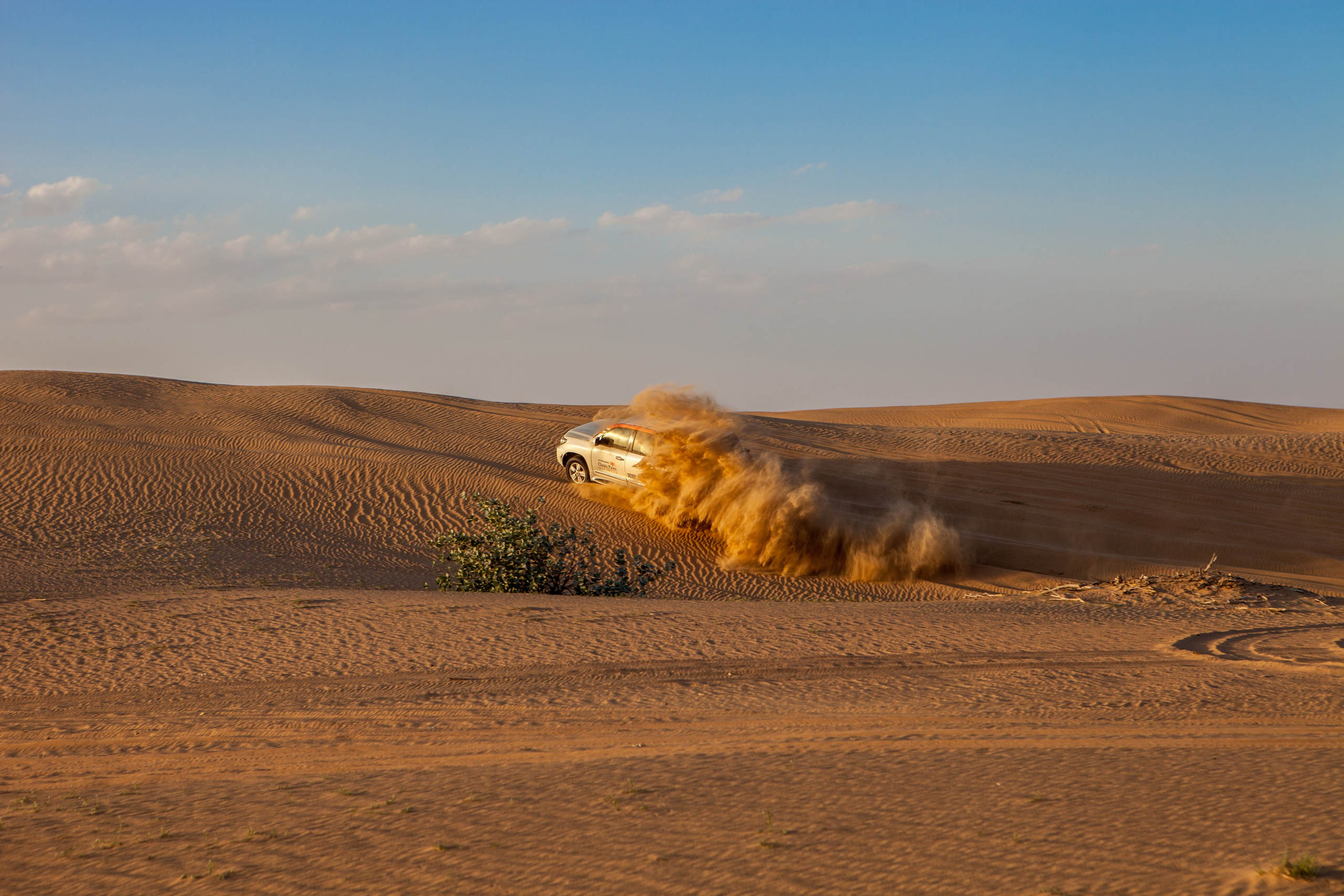 Дубай. Фотография, ретушь, сканирование, восстановление старых фото, интерьерная съёмка, студия. Данилов Александр, Москва