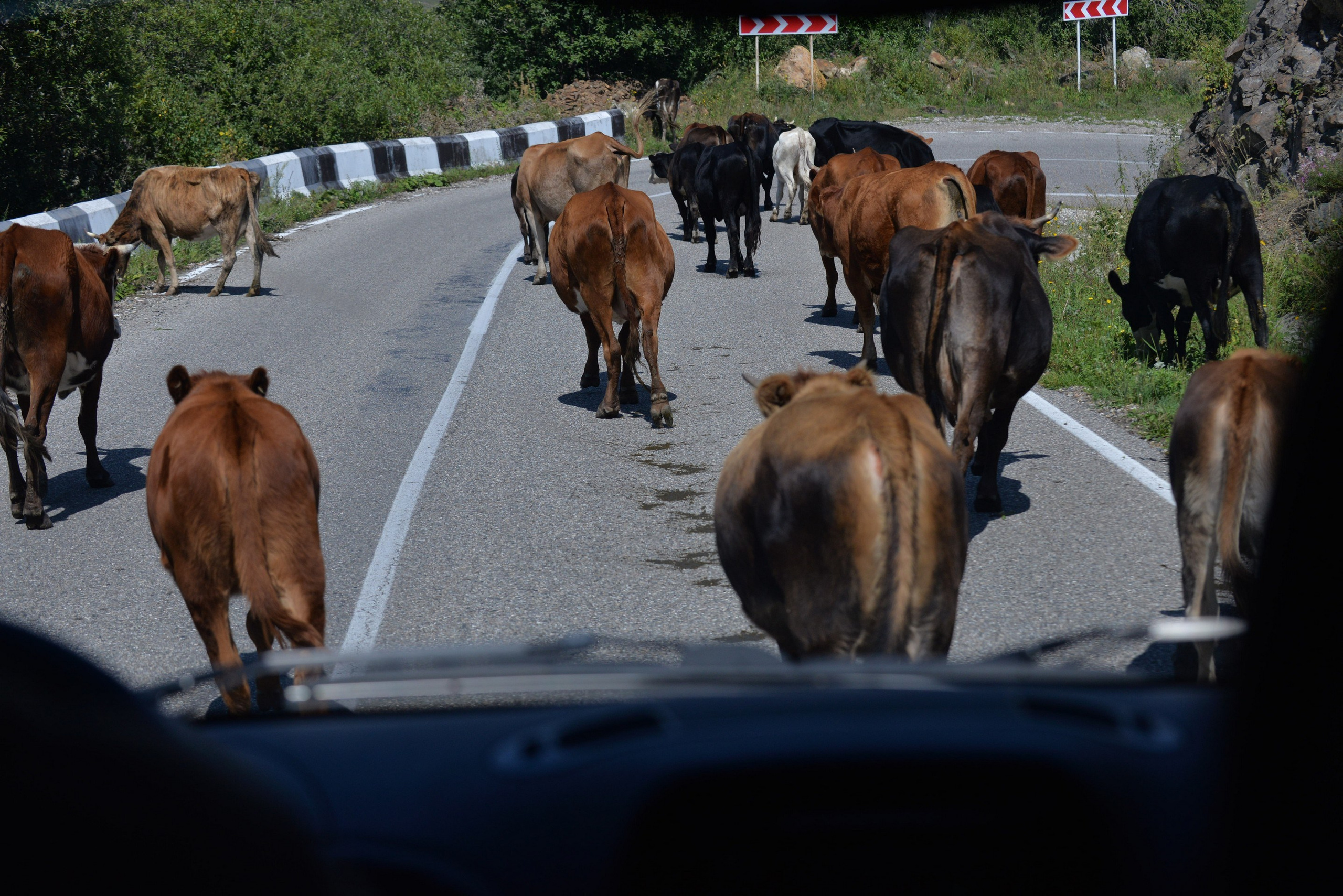 Фотосессия в горах Кавказа с выездом из Кисловодска