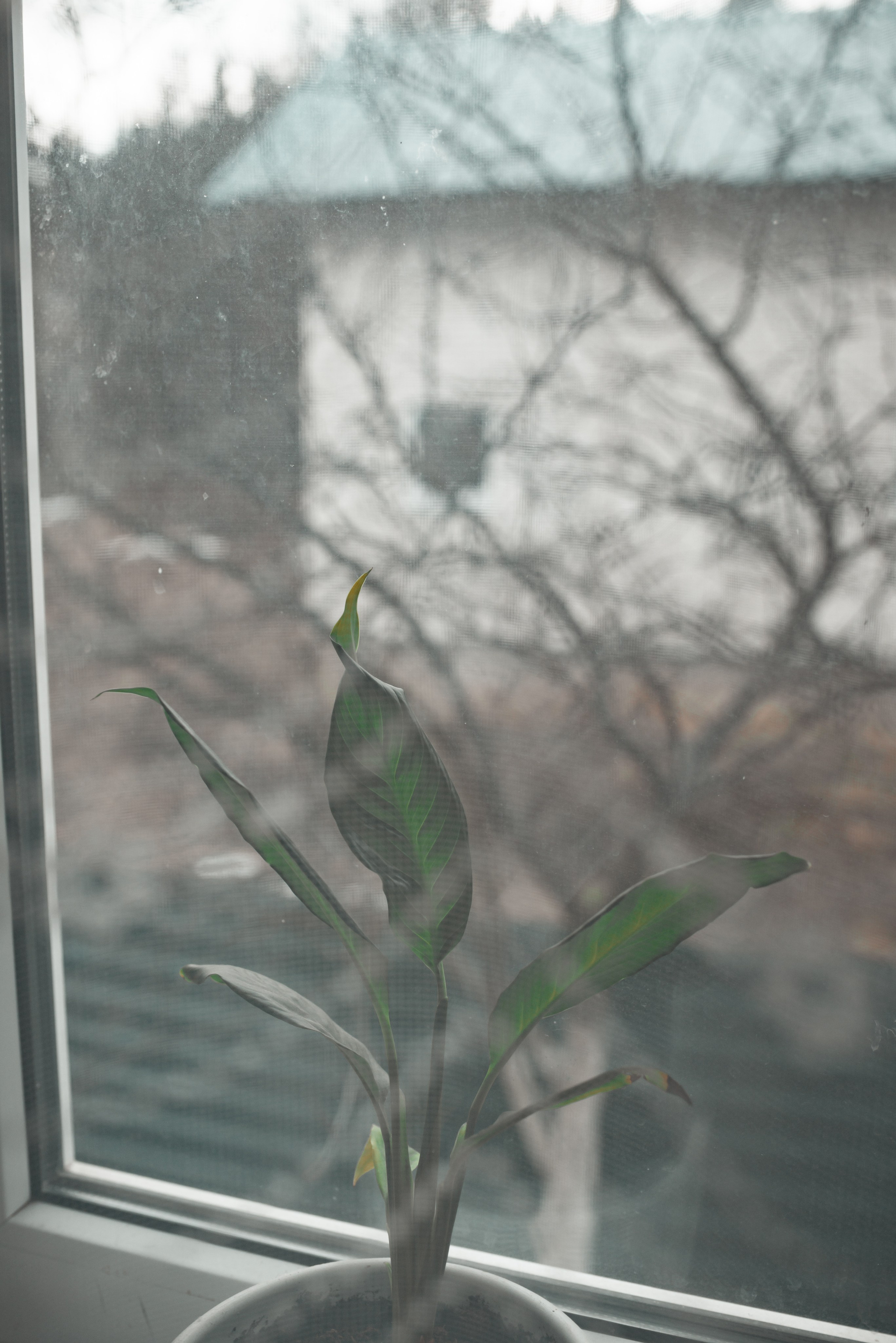 Люди. Семейный фотограф Псков. Спб.|Анастасия Войналович