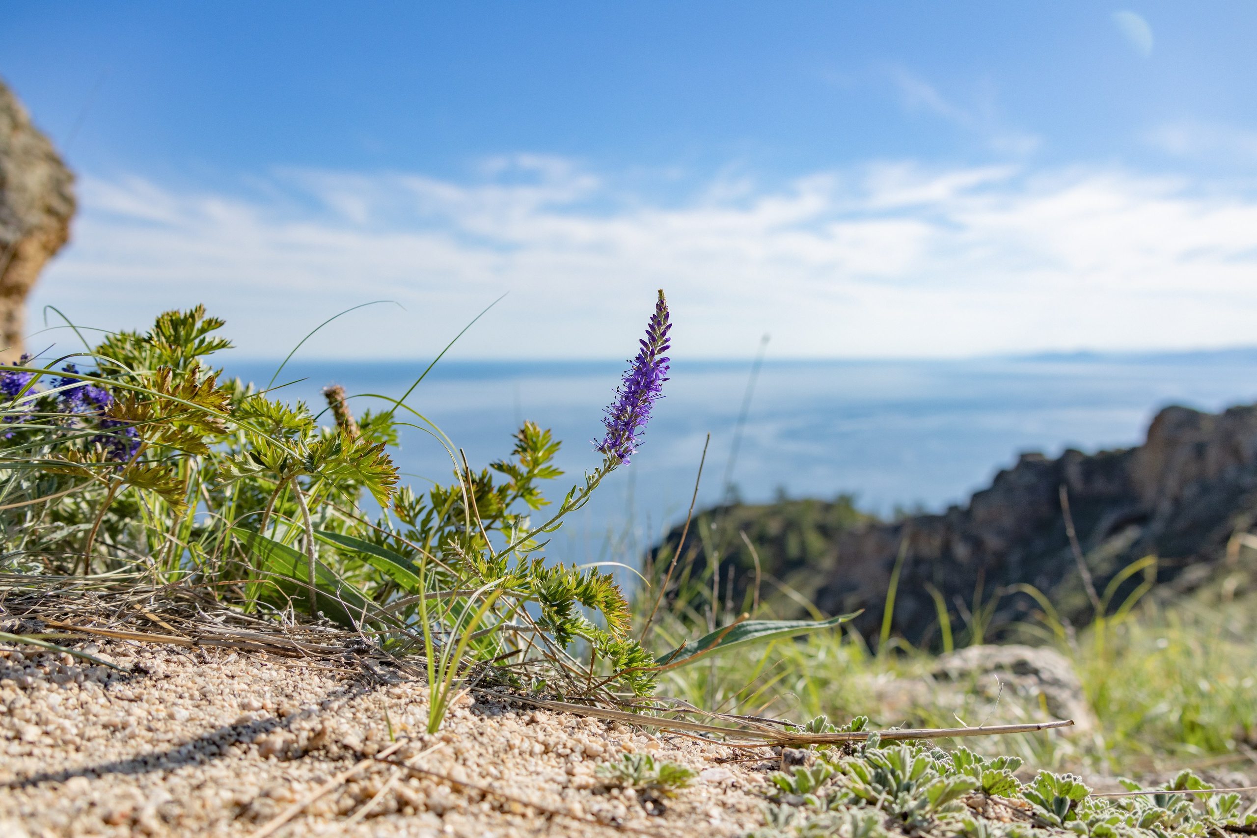 Ольхон. Jean De Vivre Gallery