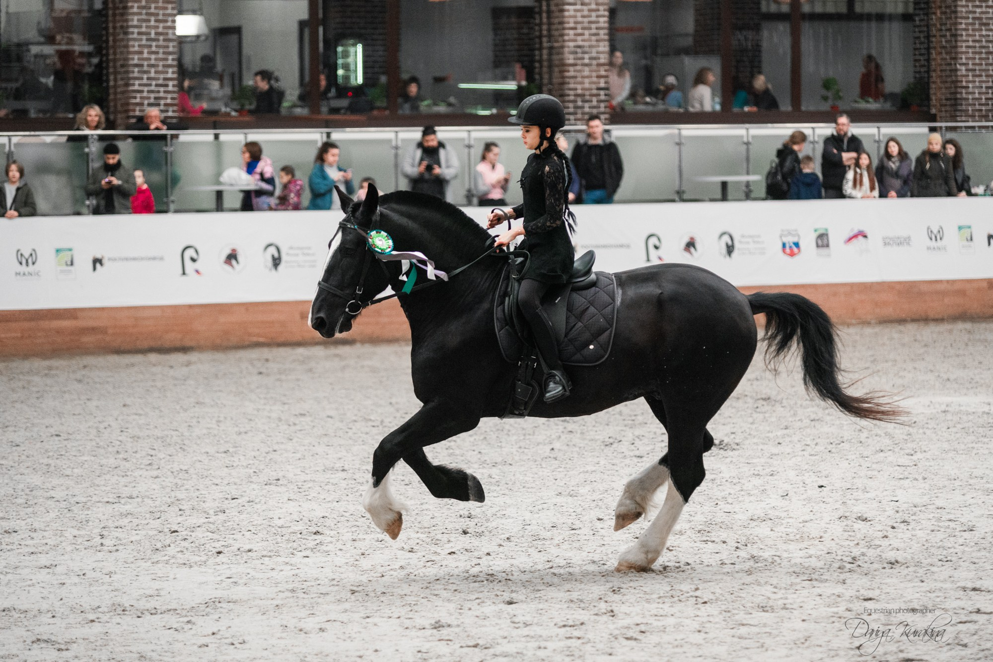 8-я международная выставка Конная Россия. Конный фотограф Куракина Дарья • Фотосессии с лошадьми