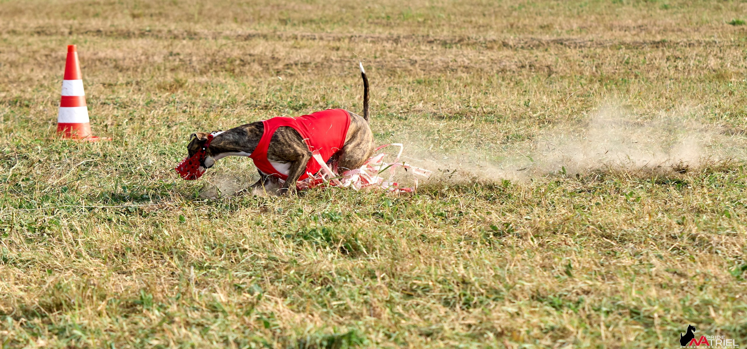 Съемка курсинг — галерея NATRIEL