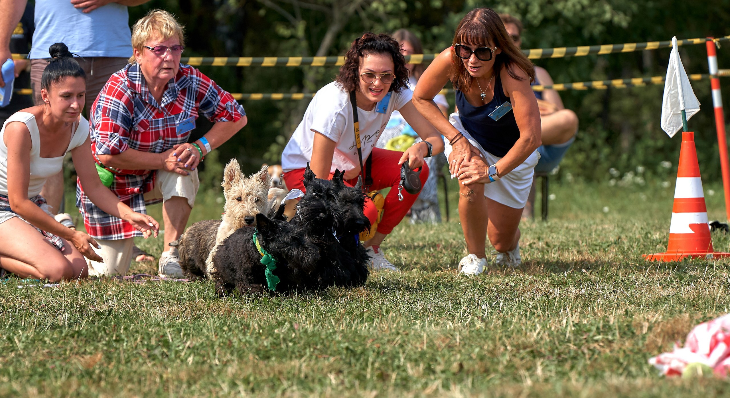 Мероприятия с собаками — галерея NATRIEL