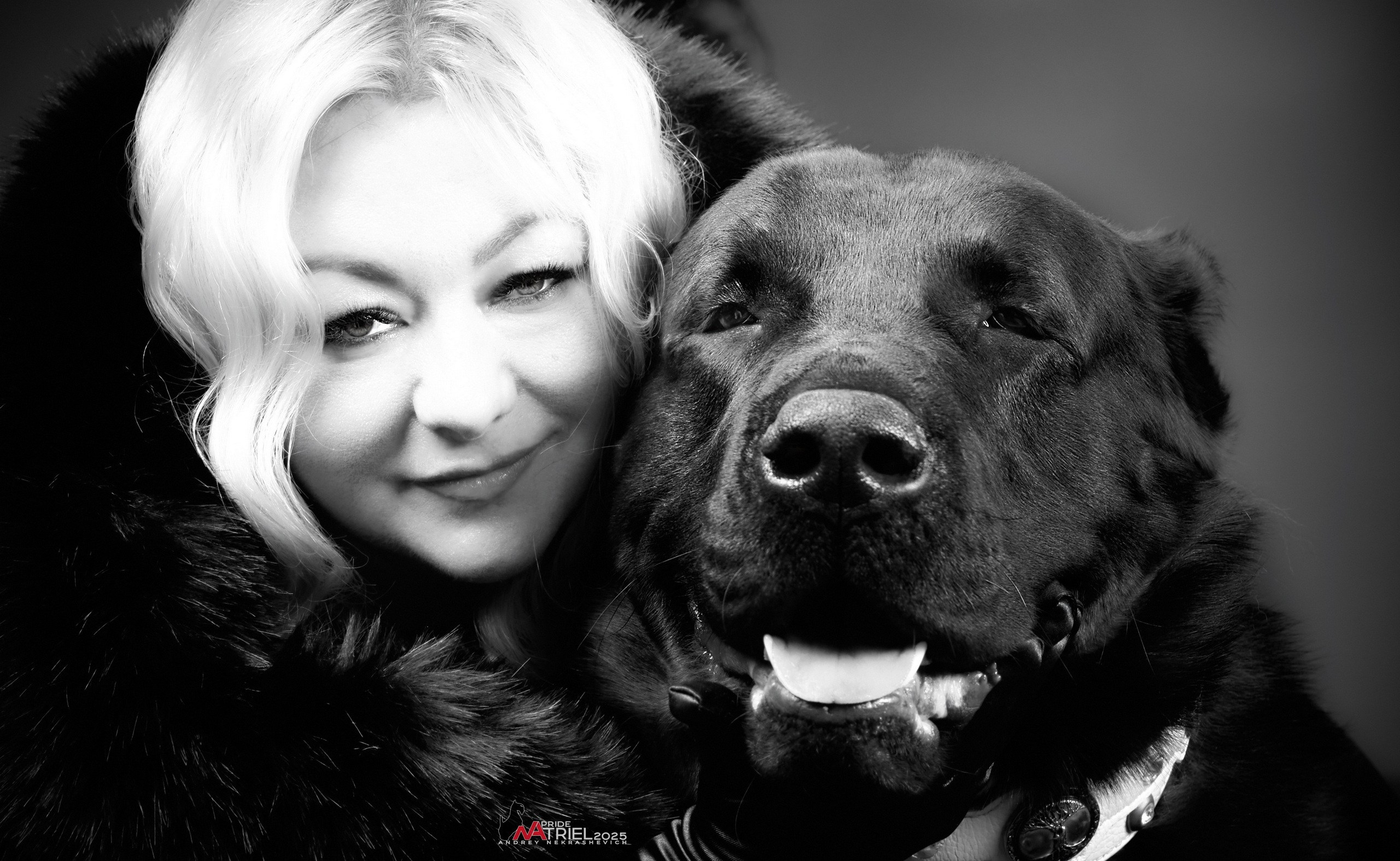 Съемка алабая в студии