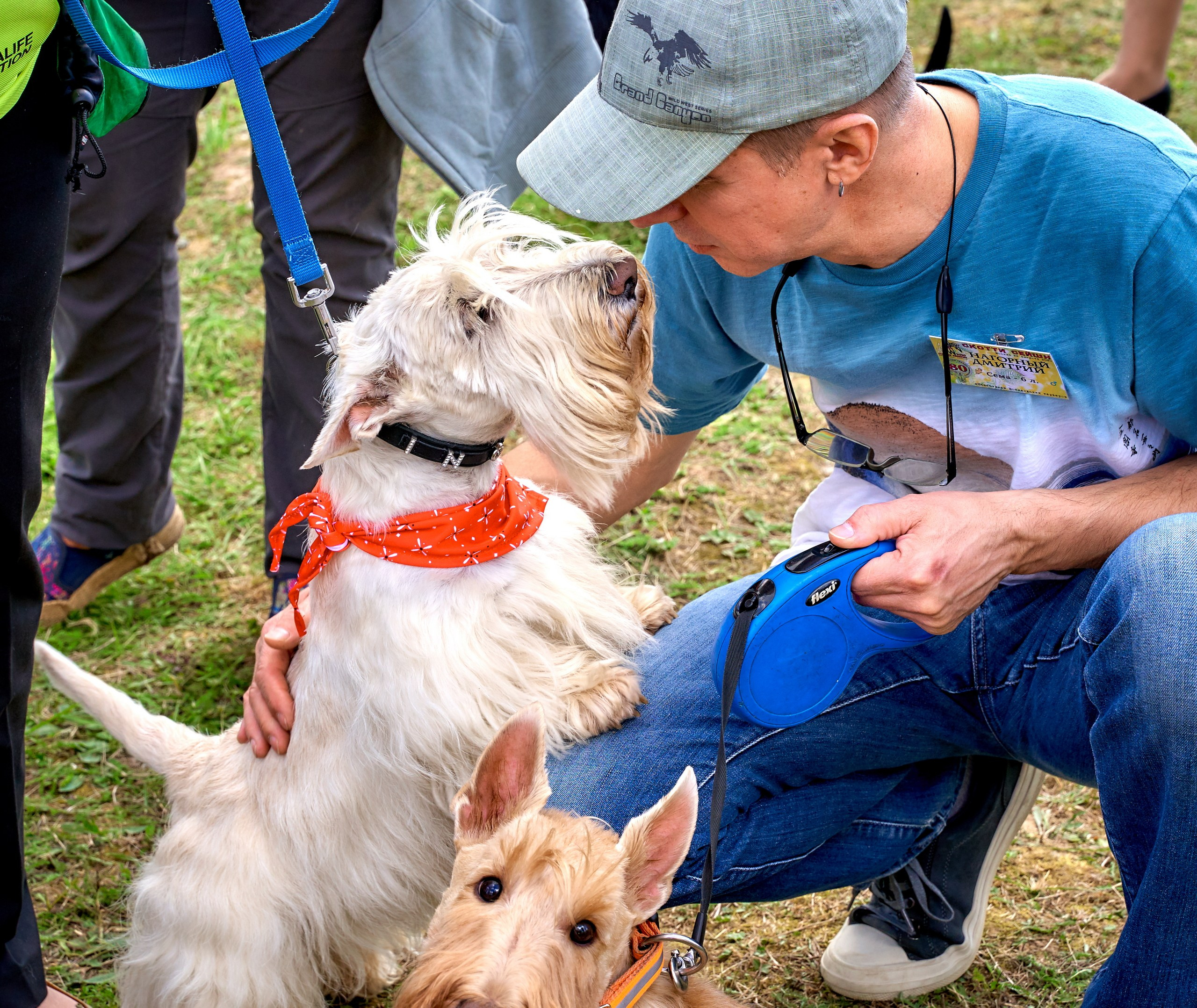 Мероприятия с собаками — галерея NATRIEL