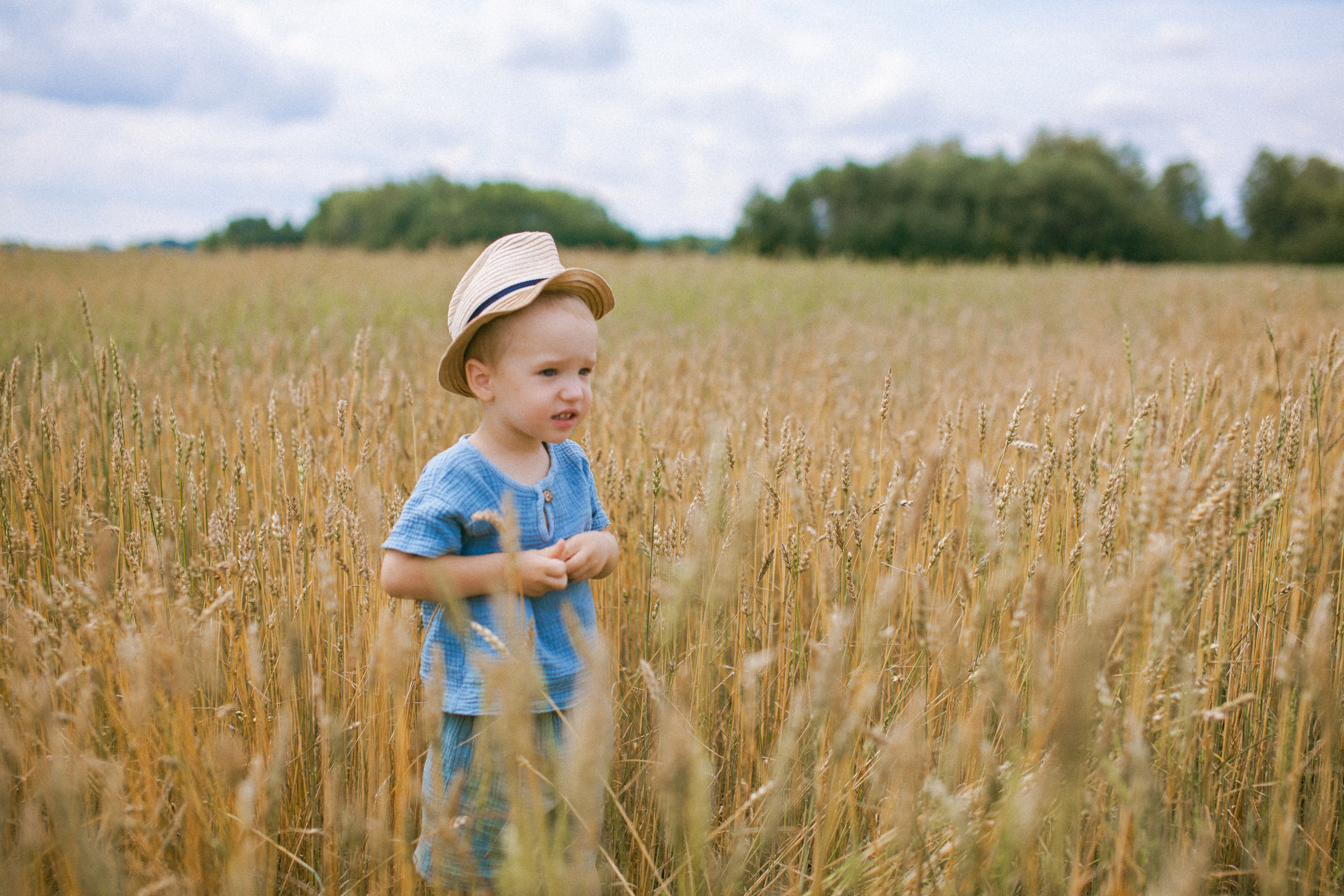 Золотистая пшеница. Семейный и художественный фотограф в Тюмени Юлия Логинова