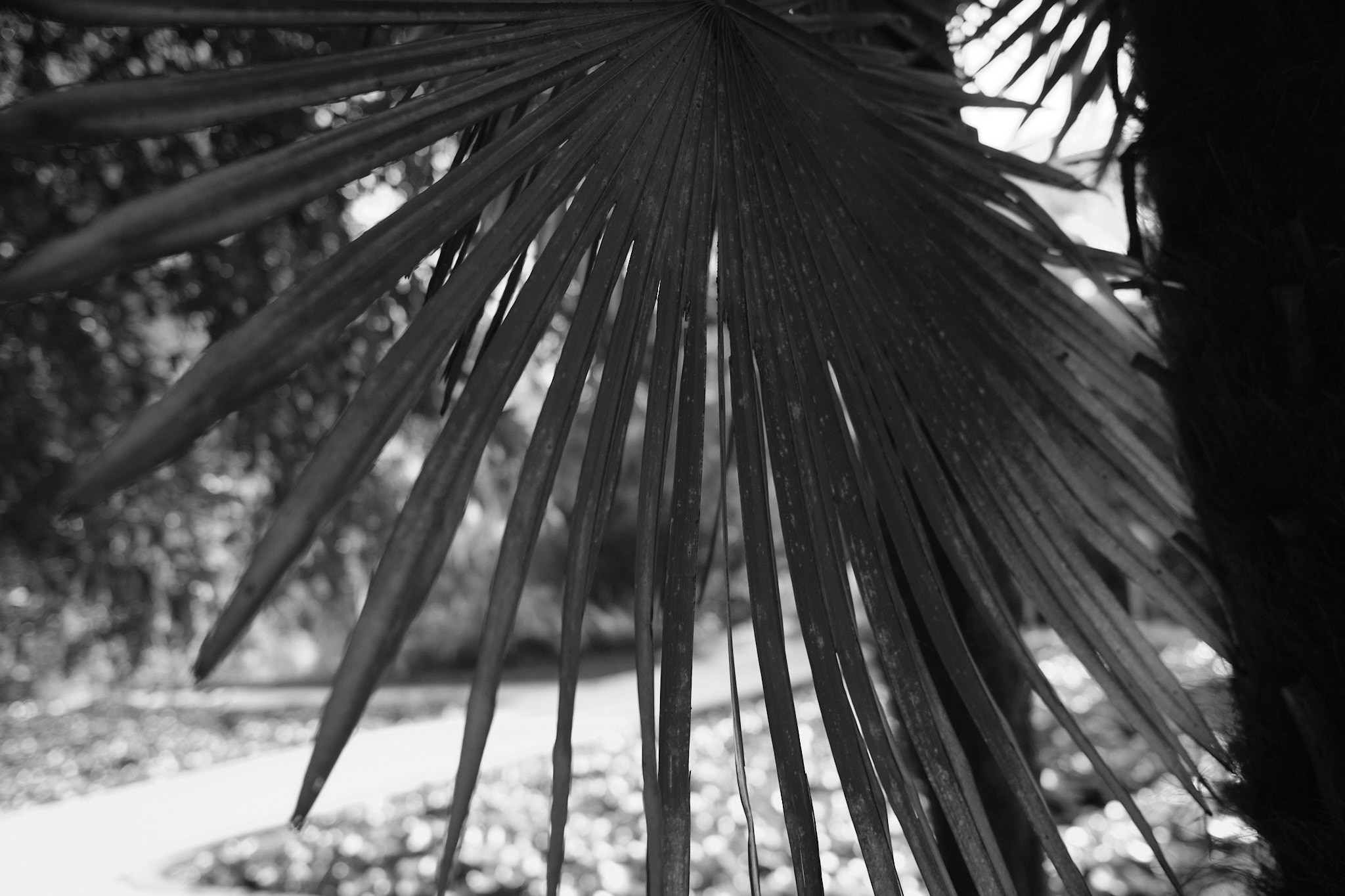 Фотограф Владимир Кононенко