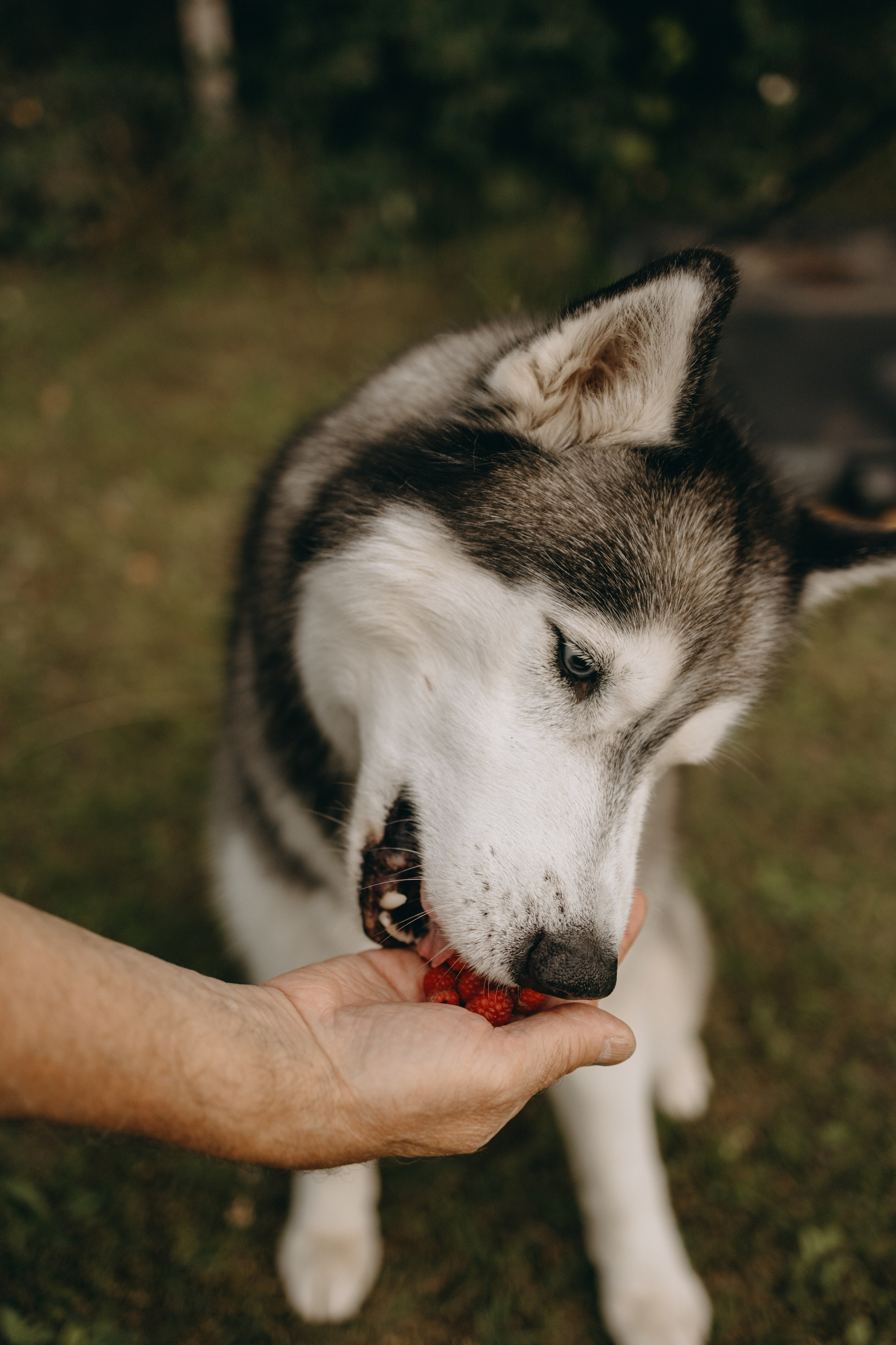 Дом у реки. Фотограф — Анималист | Санкт-Петербург