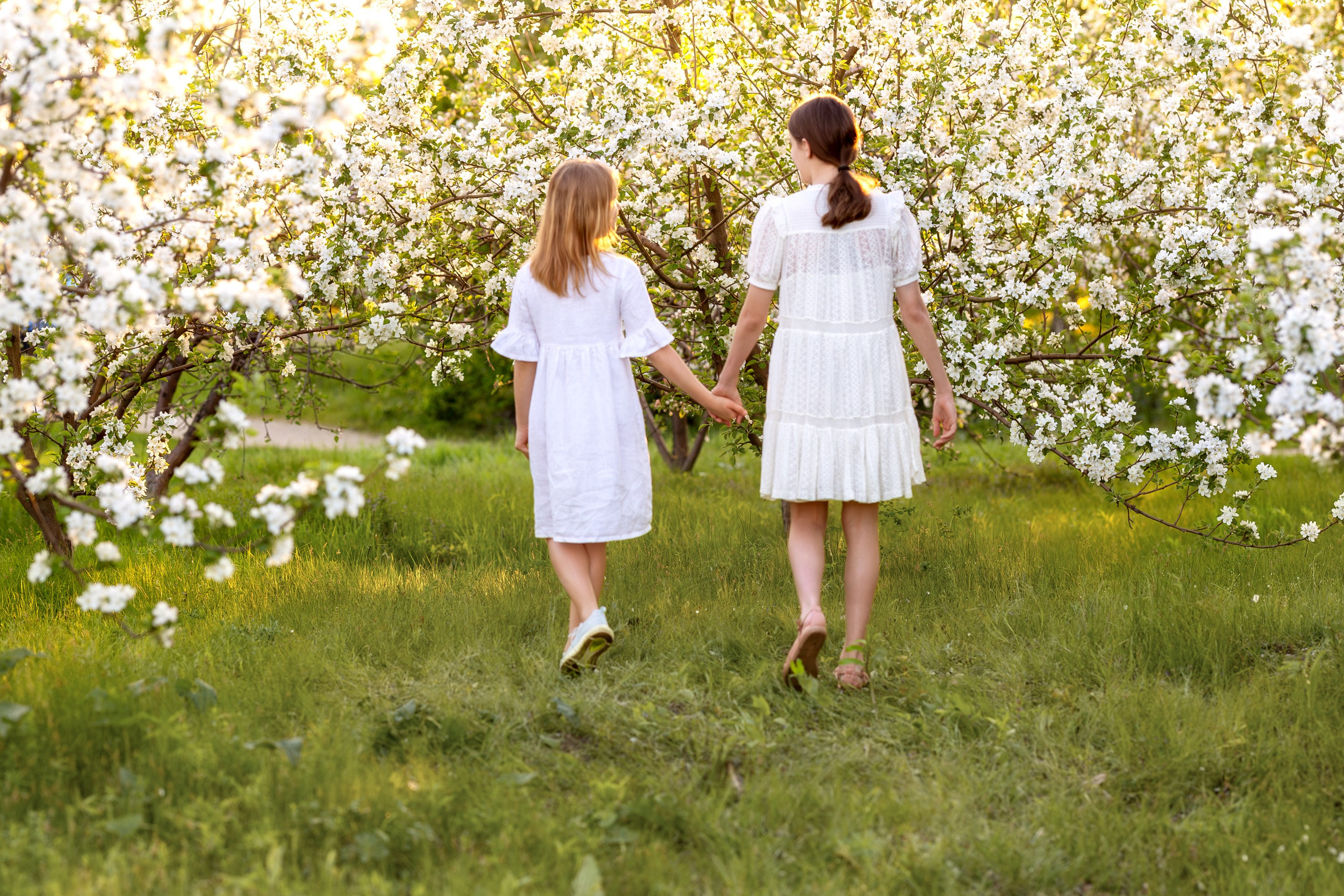 Яблоневый сад. Семейный и детский фотограф в Красноярске, Дивногорцева Светлана