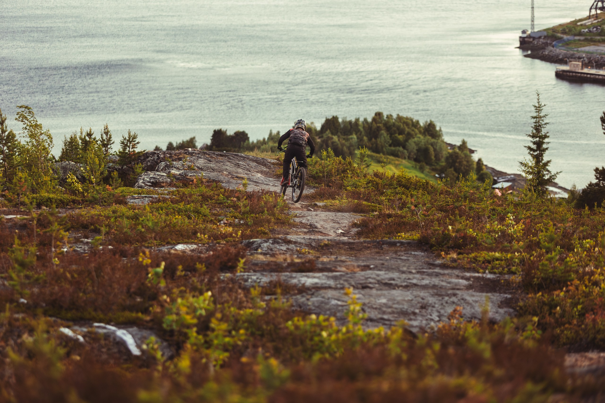 Кандалакшка. Фотограф анималист Никита Натальный