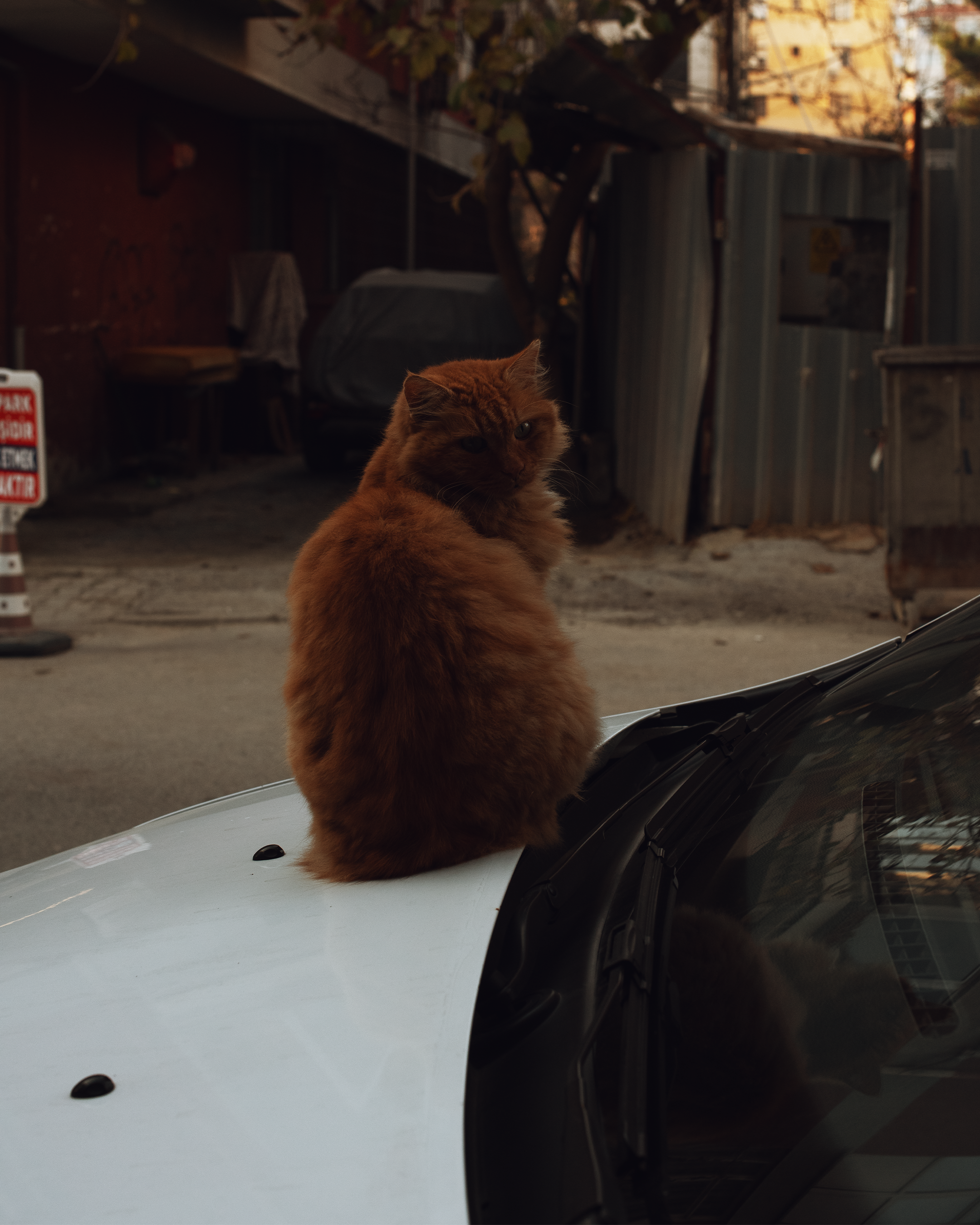Стамбул в кадре: взгляд рекламного фотографа из Гуанчжоу. Коммерческий и предметный фотограф в Гуанчжоу Коваленко Александр