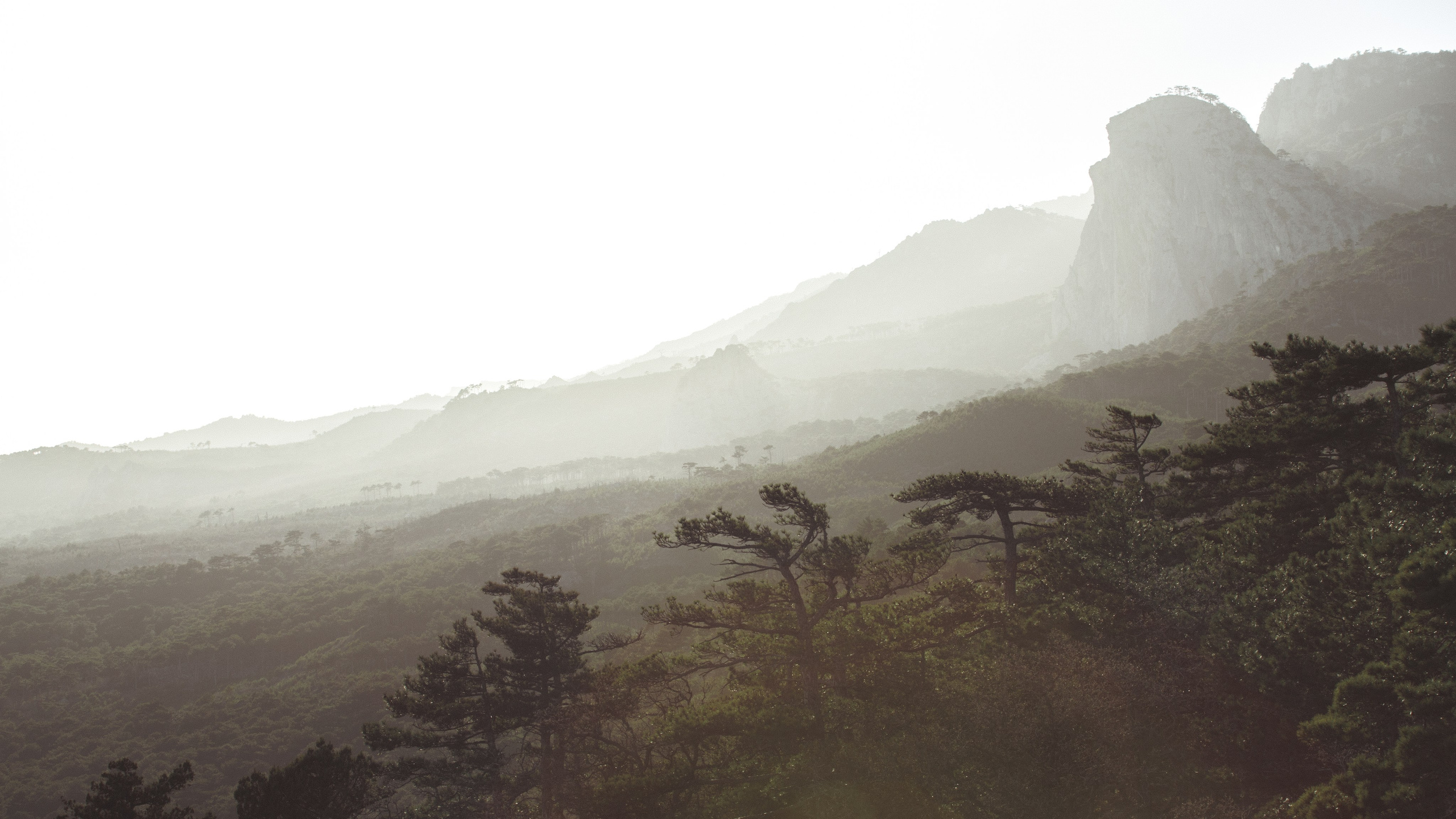 Nature. Артем Корнев Фотограф