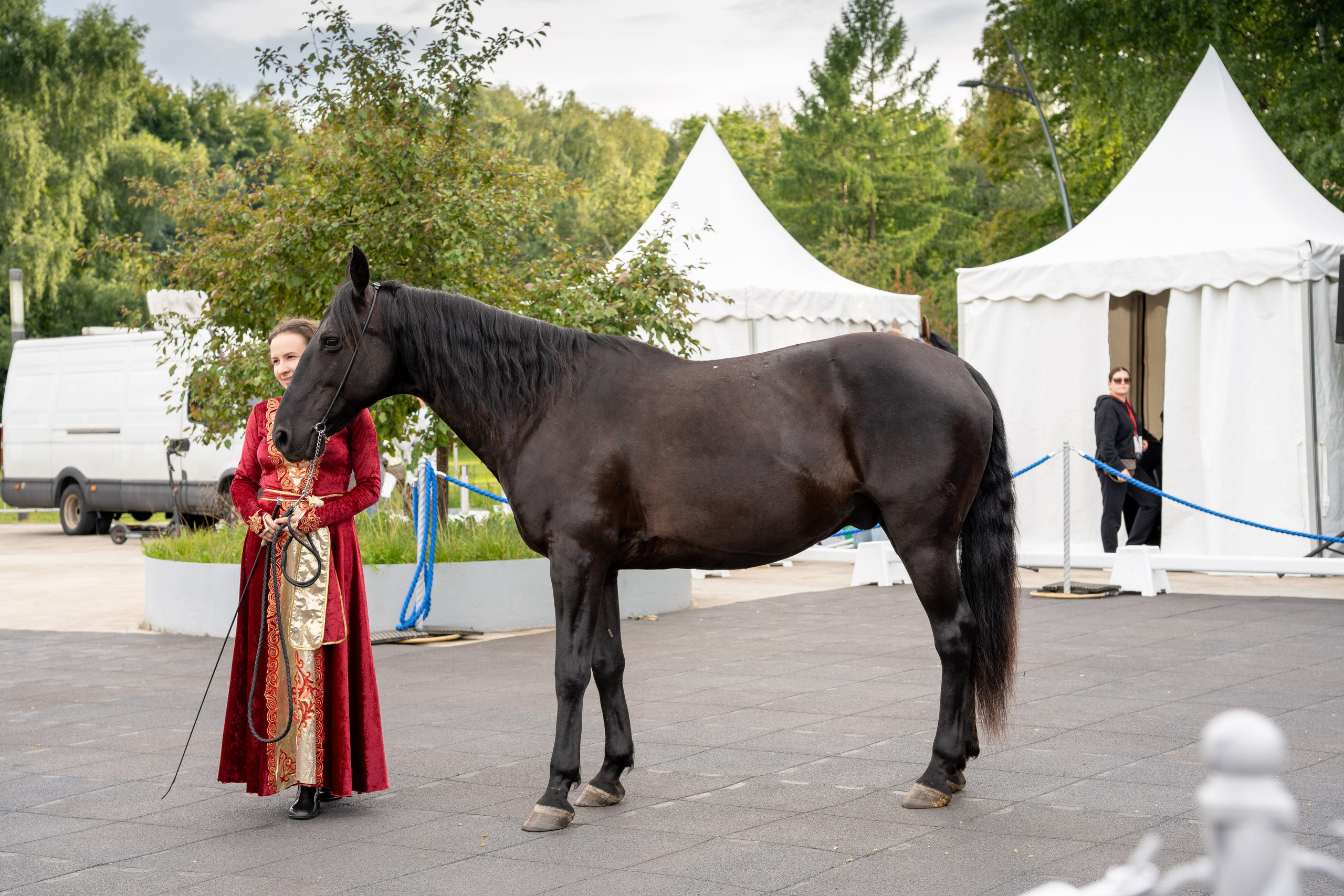 Животные. Фото, видео, монтаж