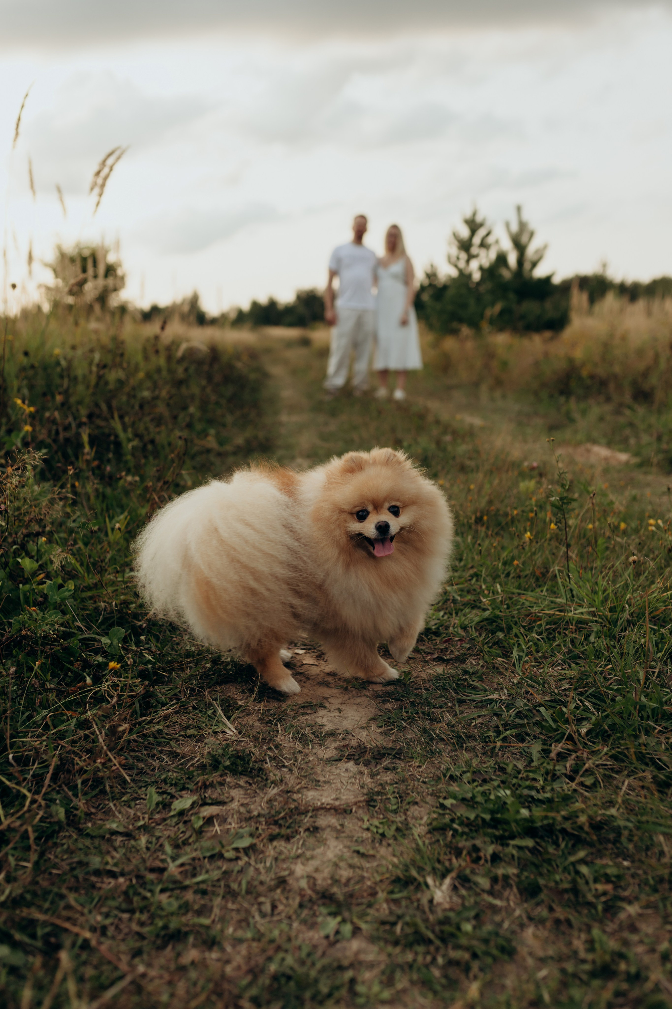 … и это всё о нас…. Главная