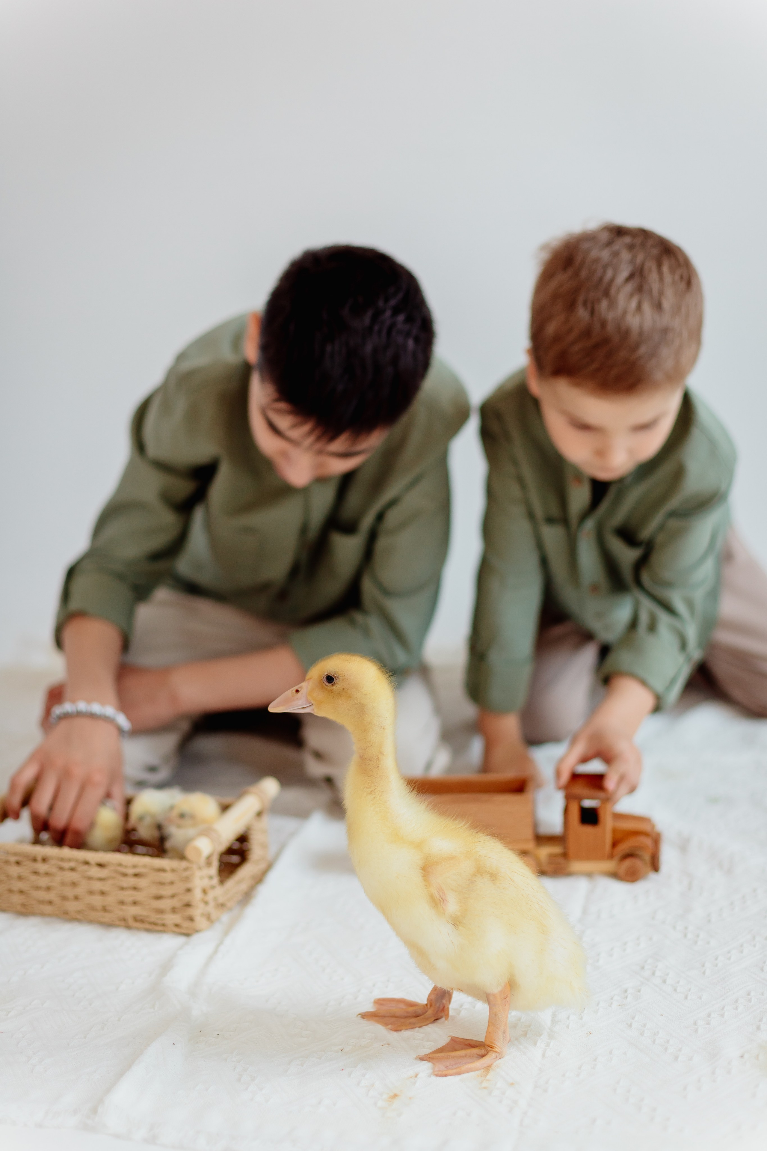 Фотосессии. Ретушер Светлана Абрамова