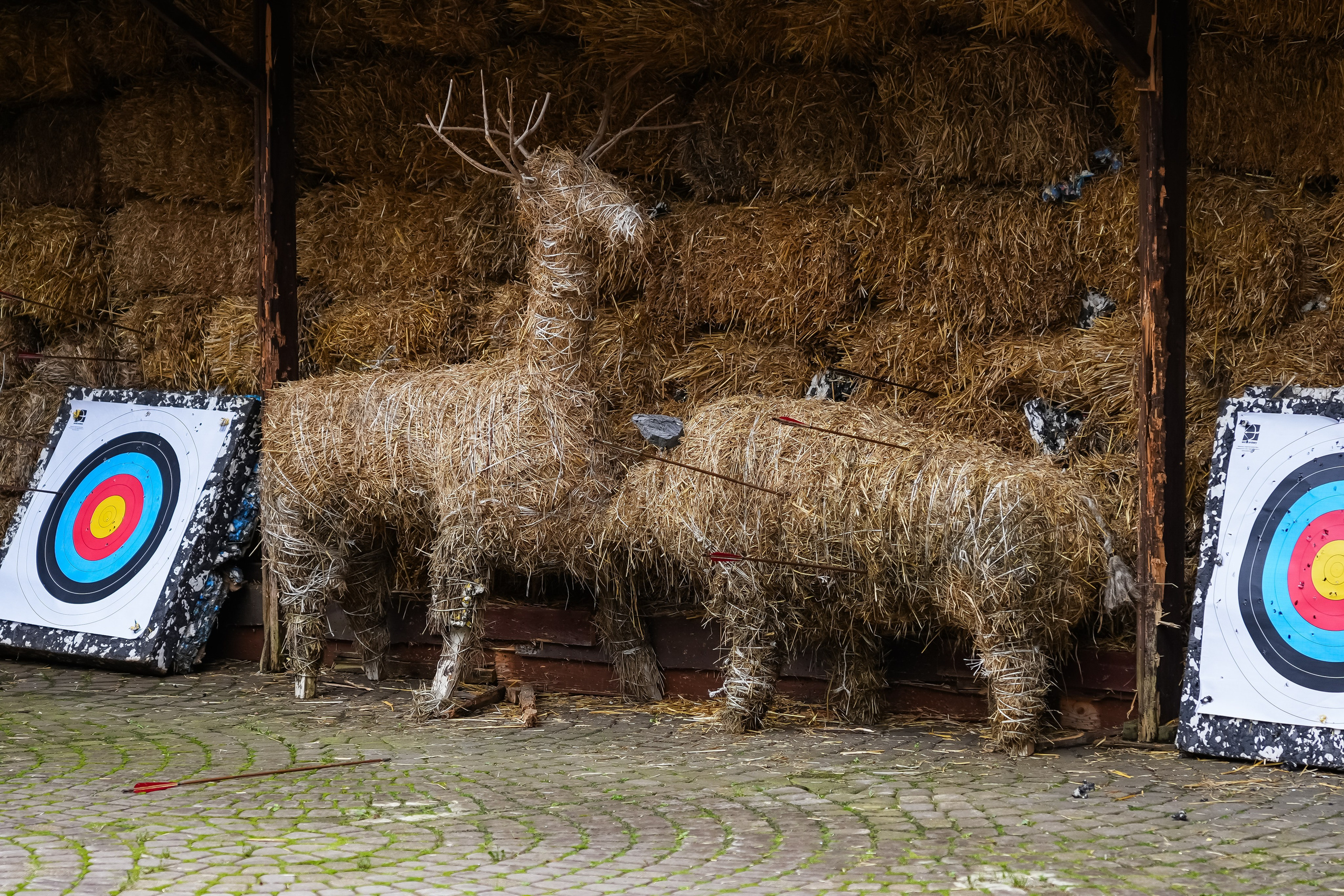 Роскомнадзор | Radisson Rosa Khutor. Репортажный фотограф | Роза Хутор Красная Поляна Сочи Сириус