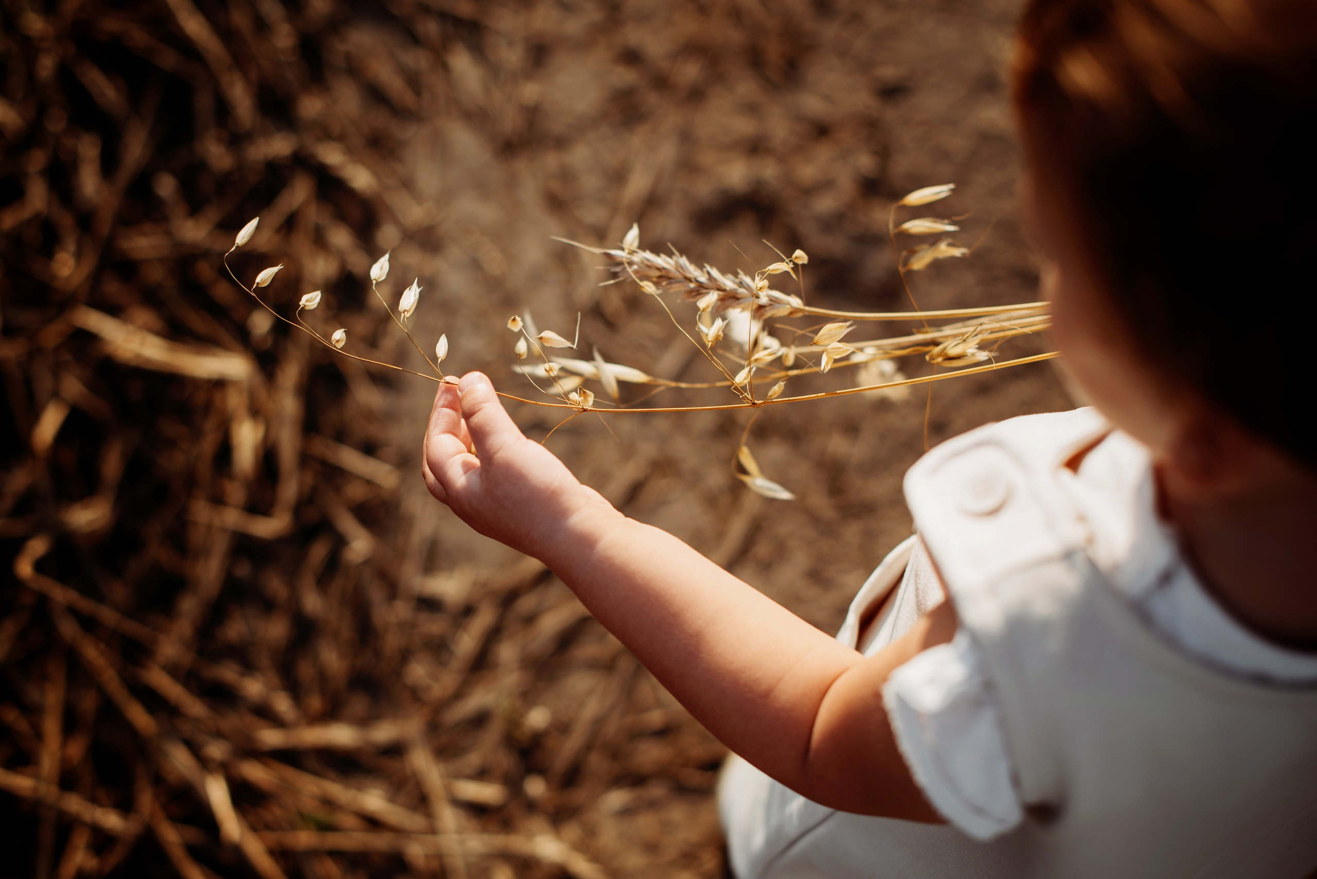 Катя и дети. Фотограф Томск Наталья Стволова