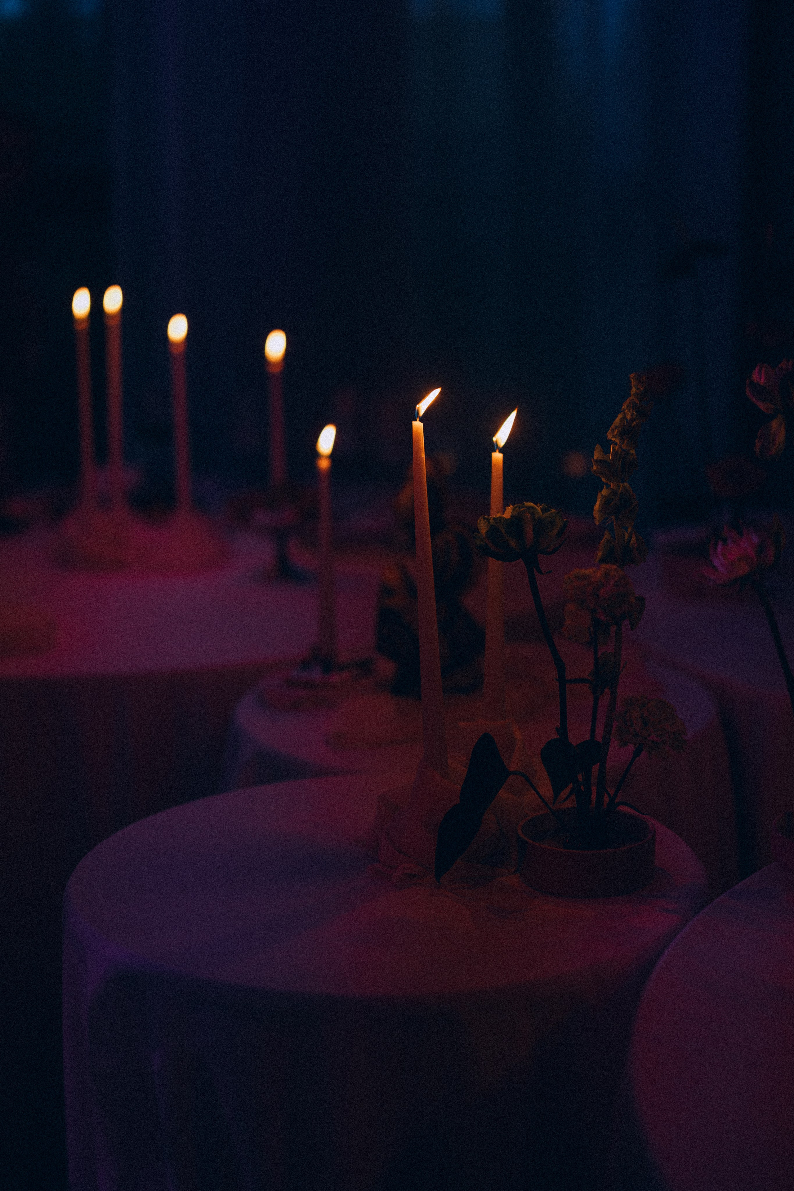 Вот это да, у меня теперь есть жена…. Daria Chigintseva Photographer