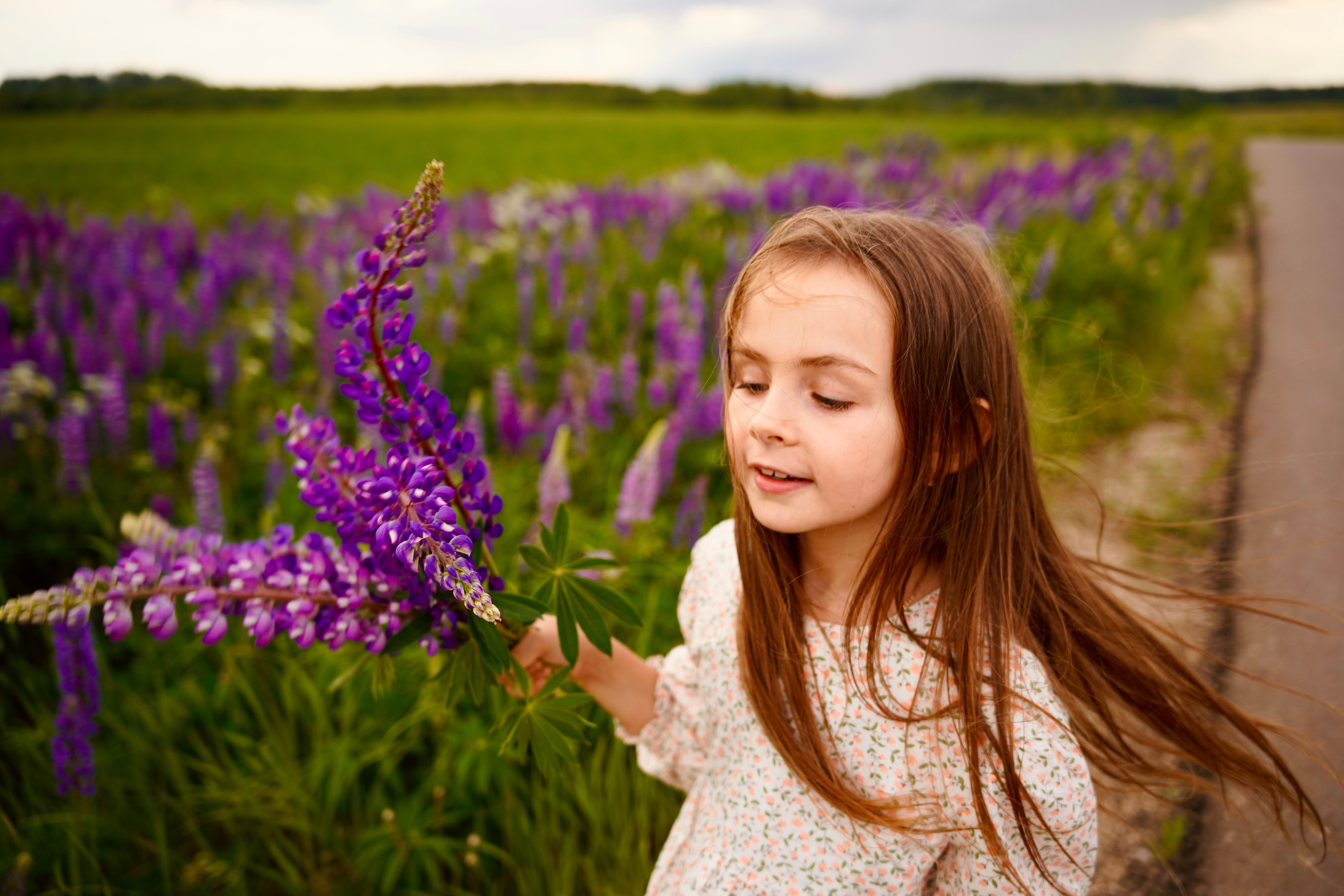 Когда цветут люпины. Семейный и детский фотограф Александра Гвоздикова