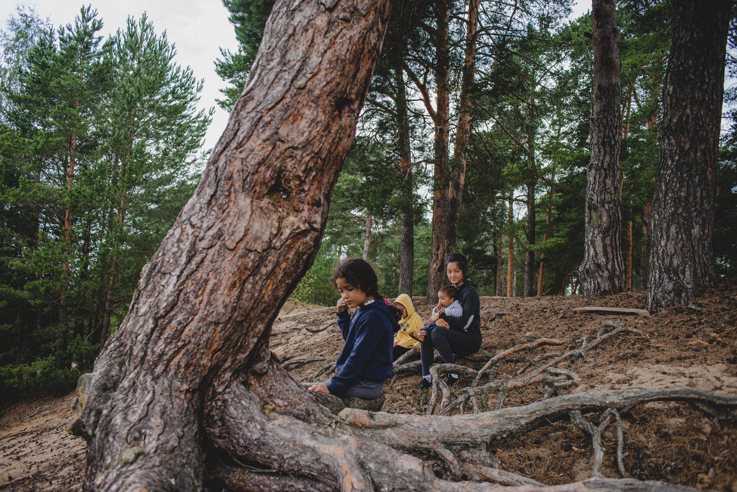 Когда деревья были большими