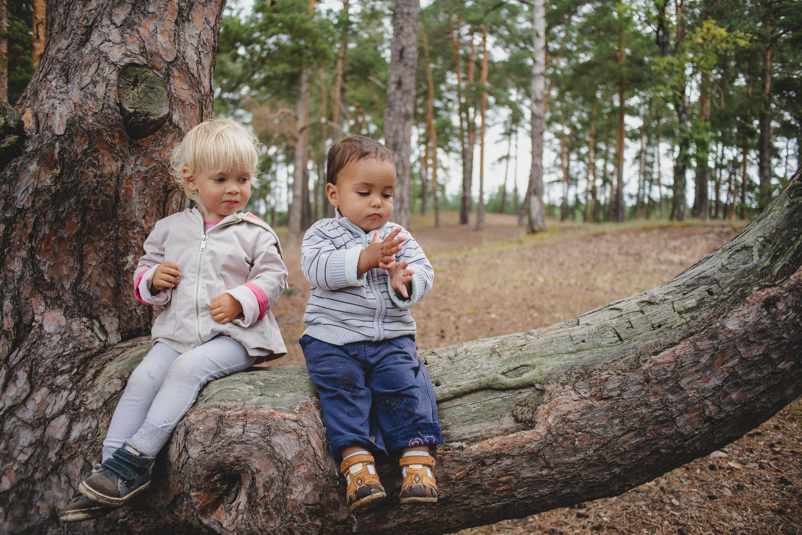 Когда деревья были большими