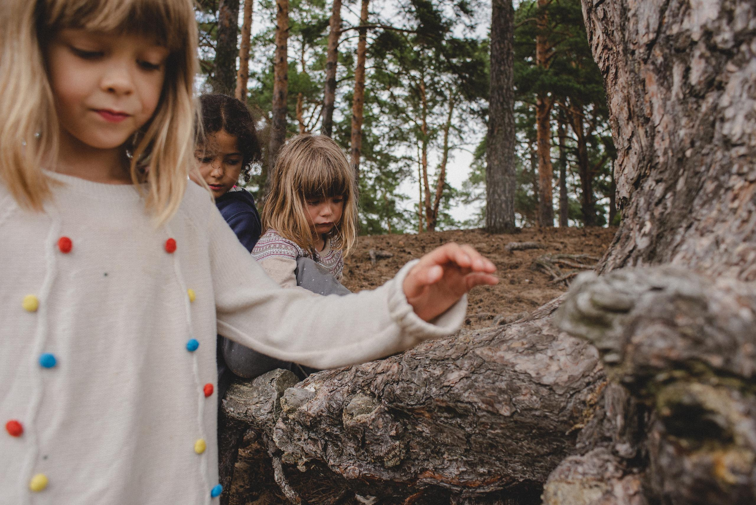Когда деревья были большими