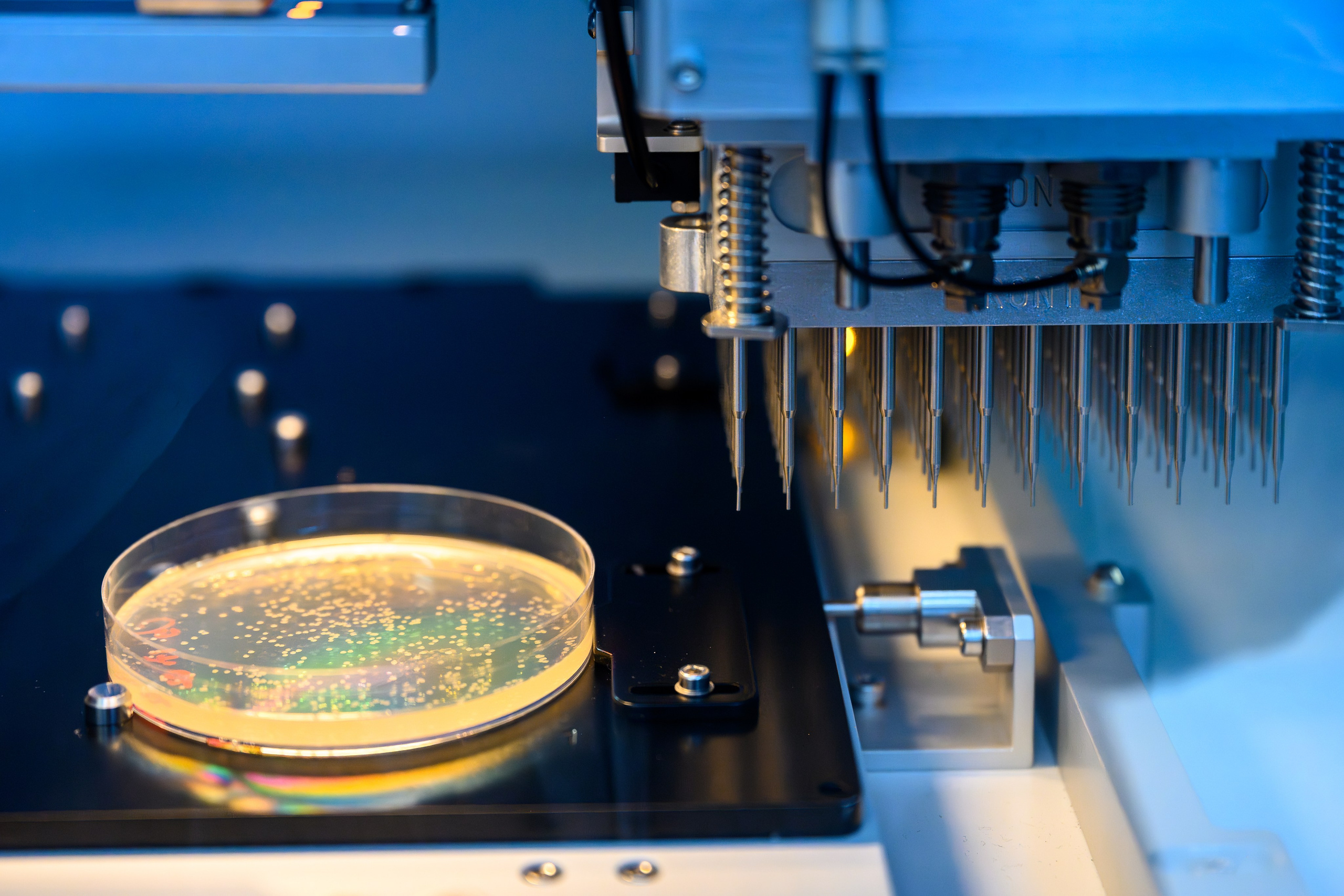 Лаборатории. Арефьева Наталья фотограф в Москве. Студийный фотограф, деловой портрет, репортаж