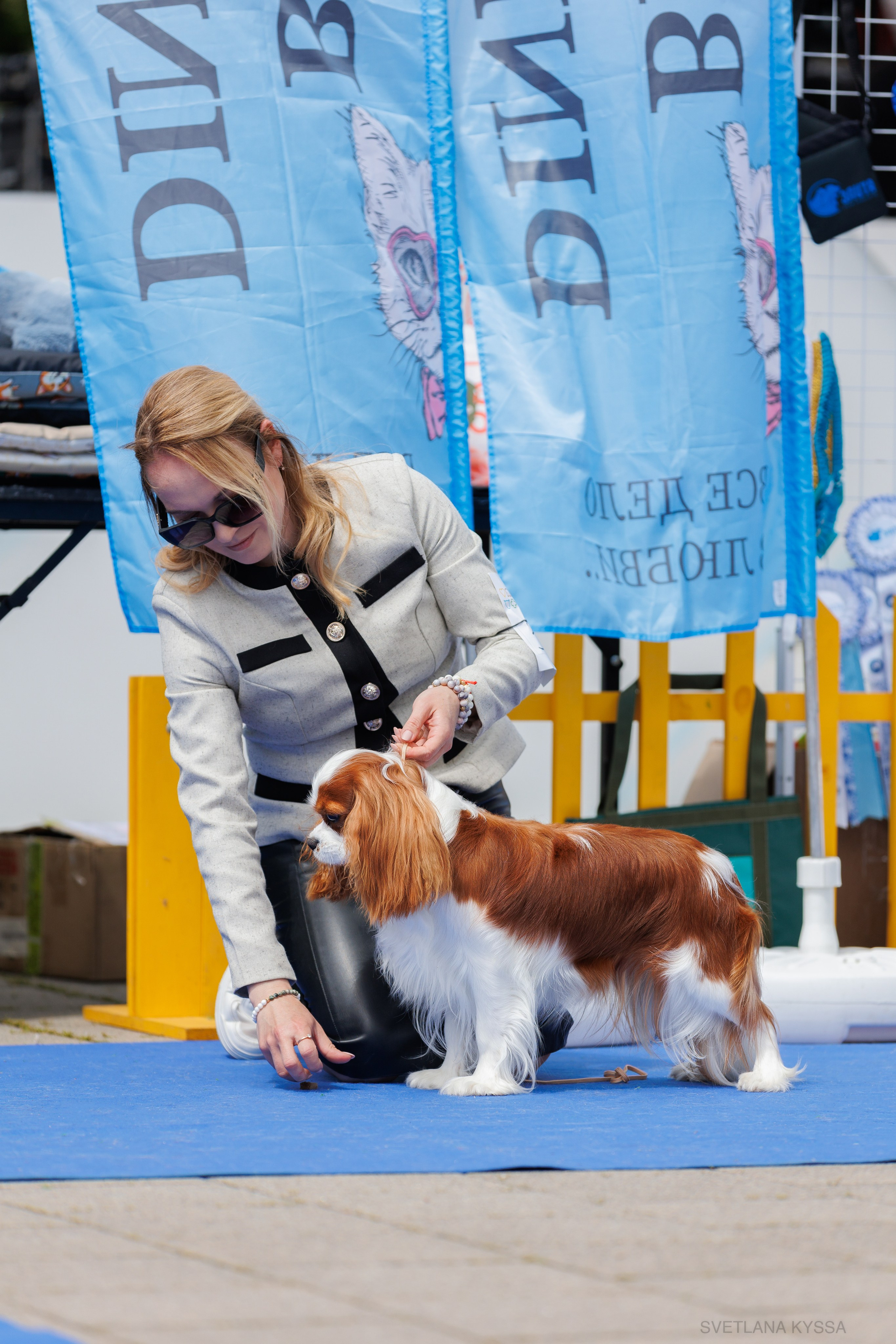 Фото с выставки собак. Фотограф — анималист Светлана Кысса|фотограф собак в Краснодаре и Нижнем Новгороде