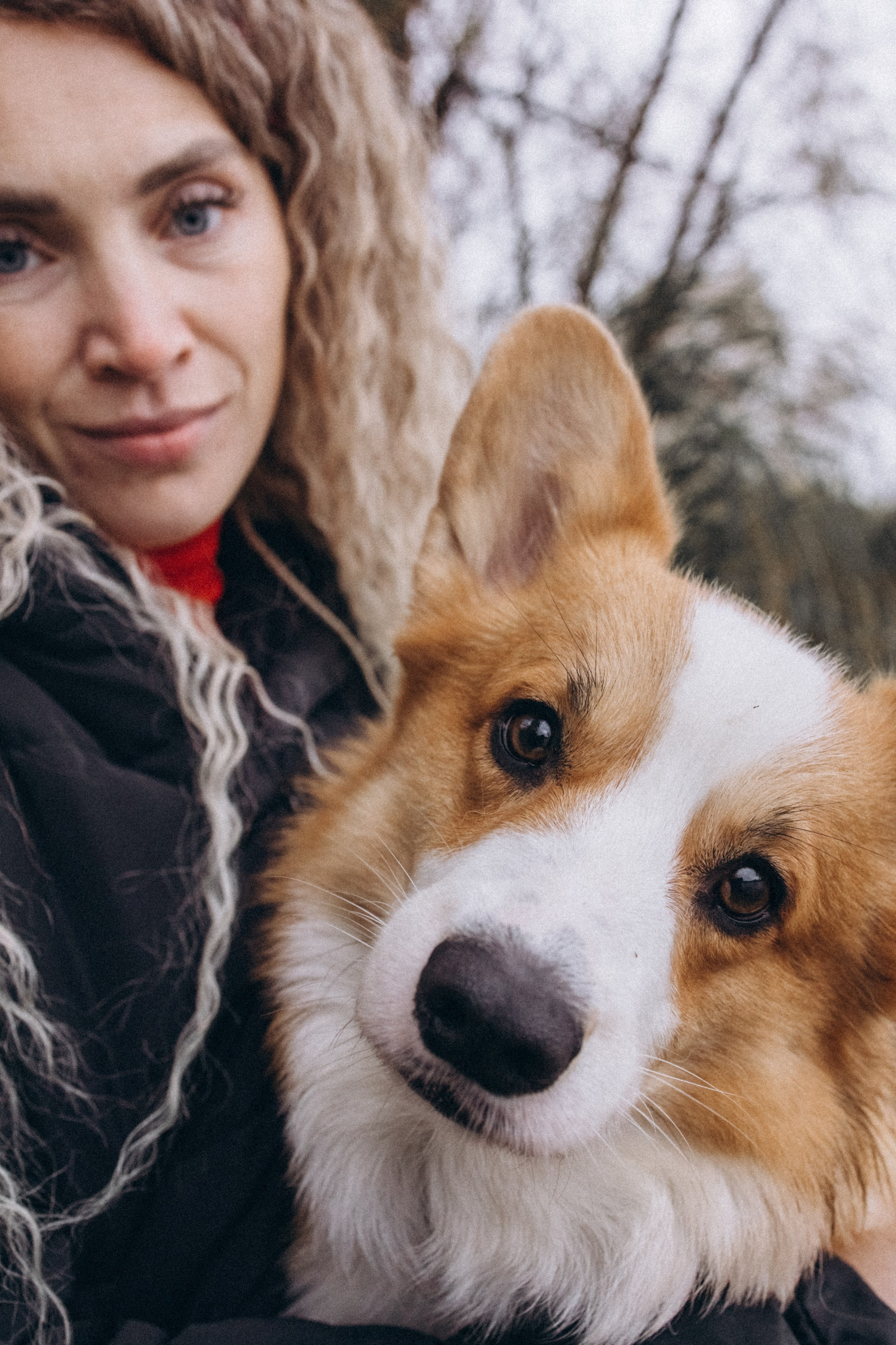 Надя и Перси. Фотограф — анималист Светлана Кысса|фотограф собак в Краснодаре и Нижнем Новгороде