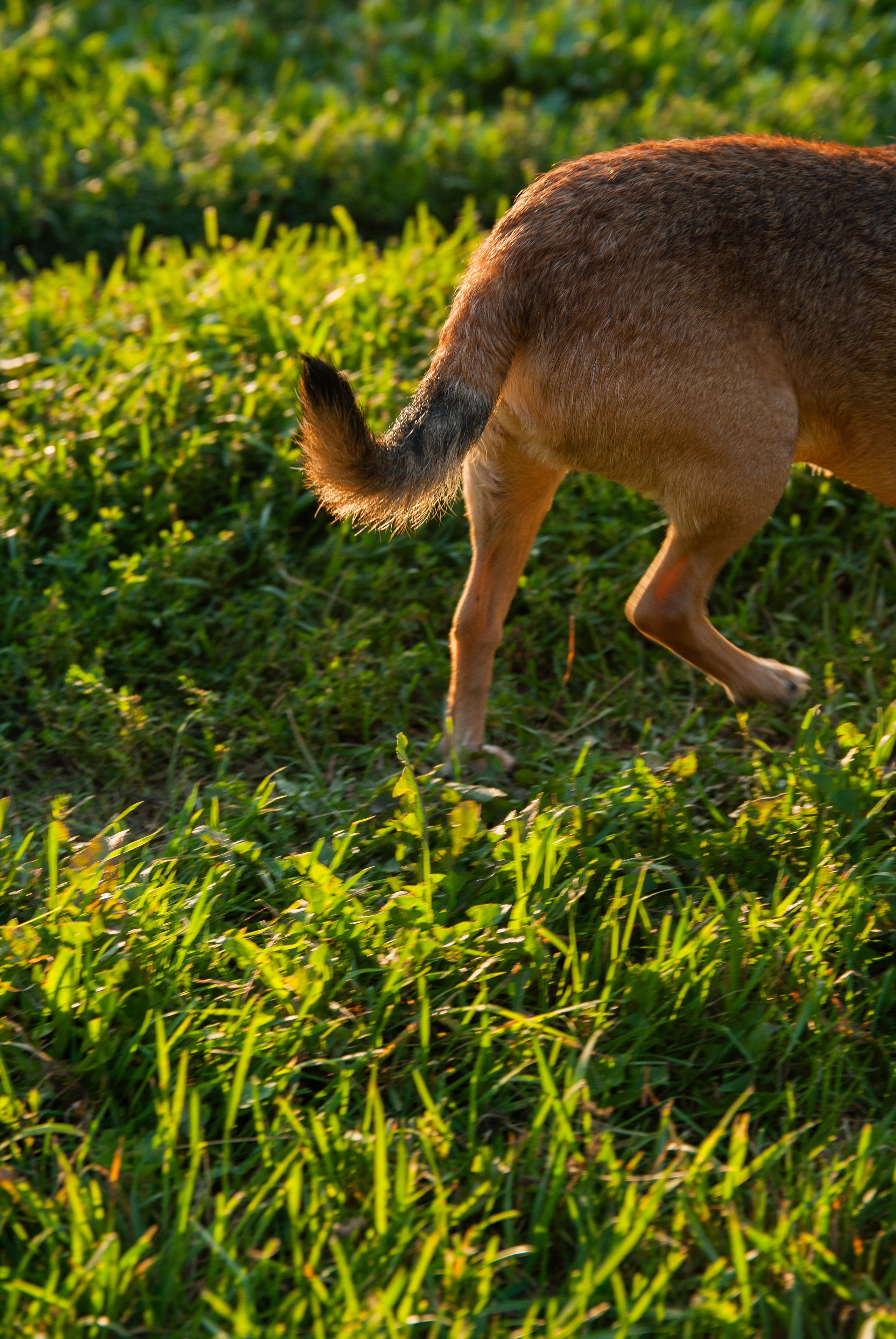 Зоопарк в моём багаже. Кошенкова Мария: портретный и репортажный фотограф. Санкт-Петербург