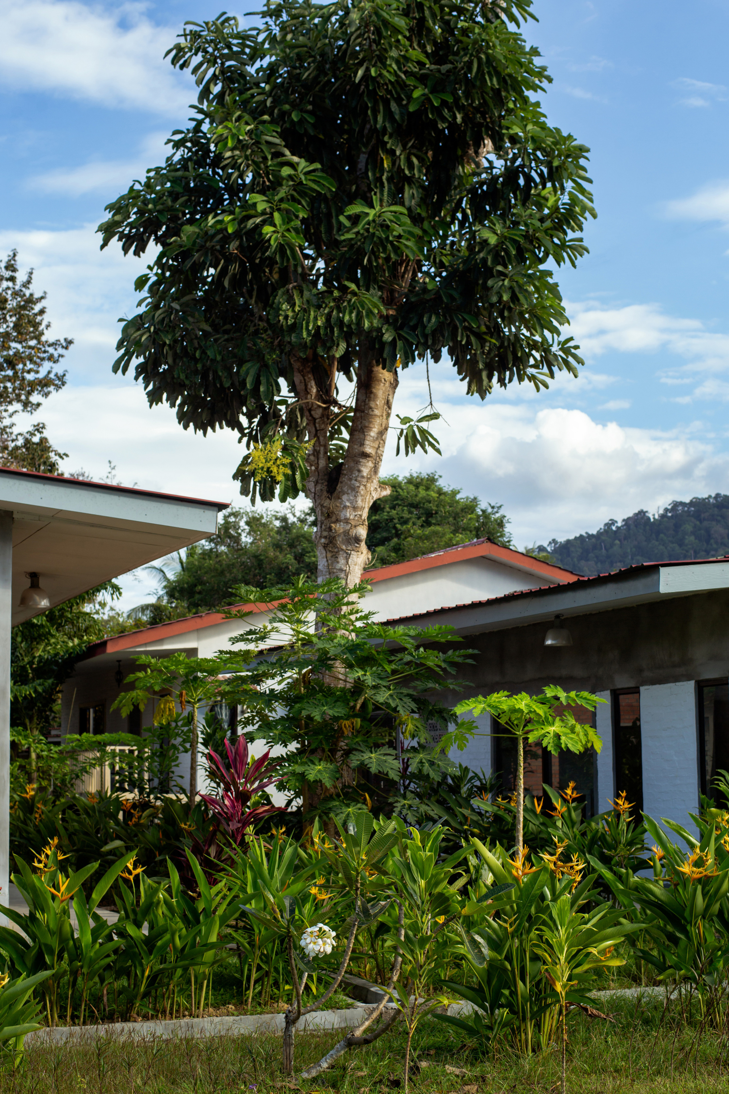 [EXTERIOR & INTERIOR] Rouhie villas catalog. Langkawi, Malaysia, 2021. Фотограф Евгений Казекин