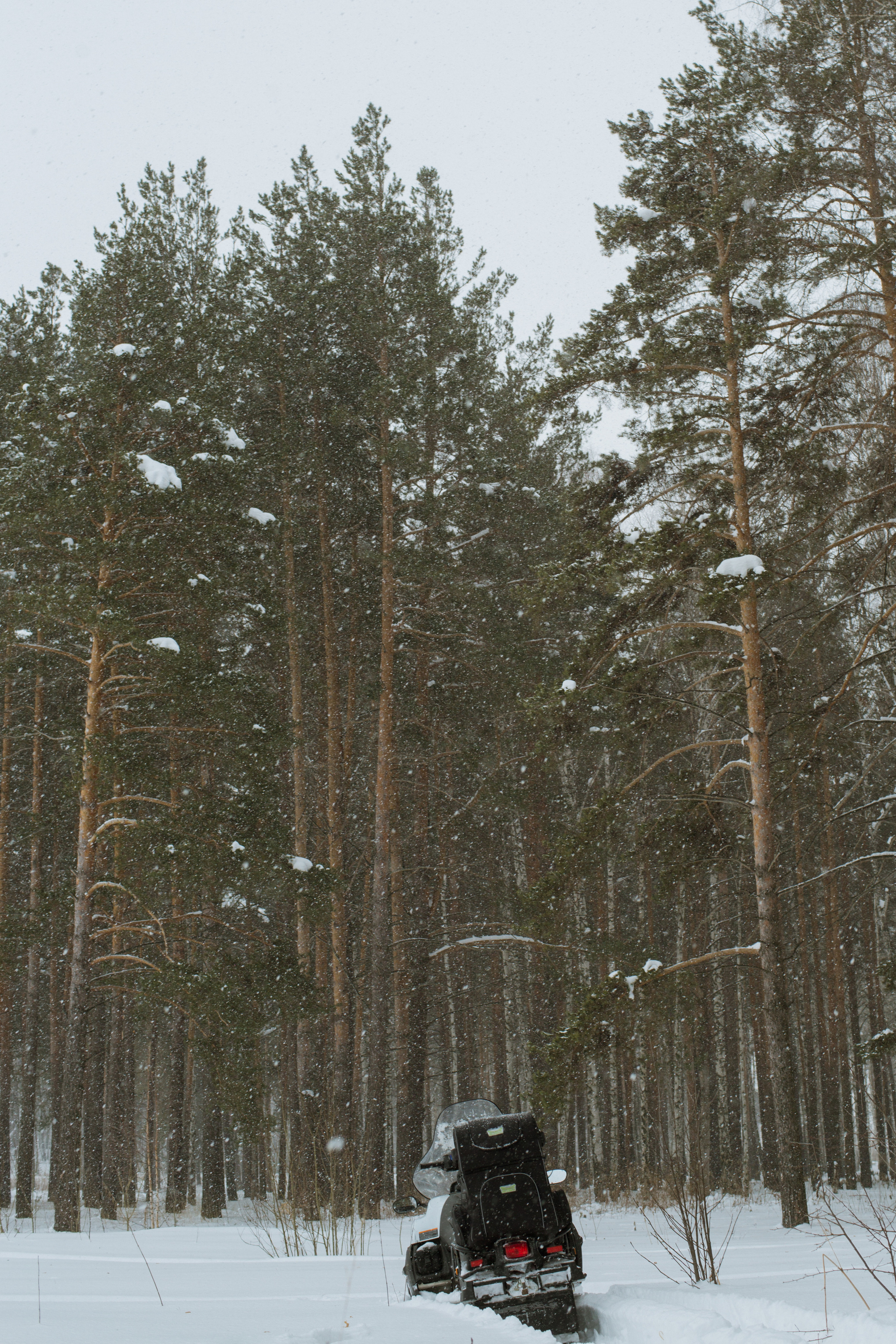 Фотограф Евгений Казекин