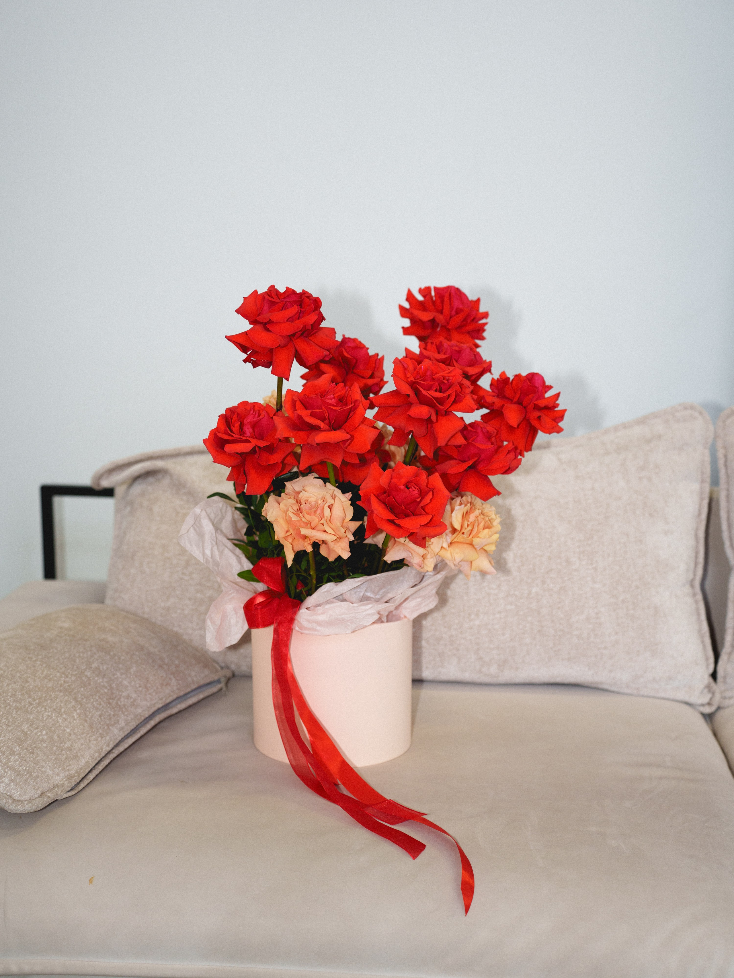 Цветы (контент к 14 февраля). Иван Упоров — фотограф, рилсмейкер чебоксары