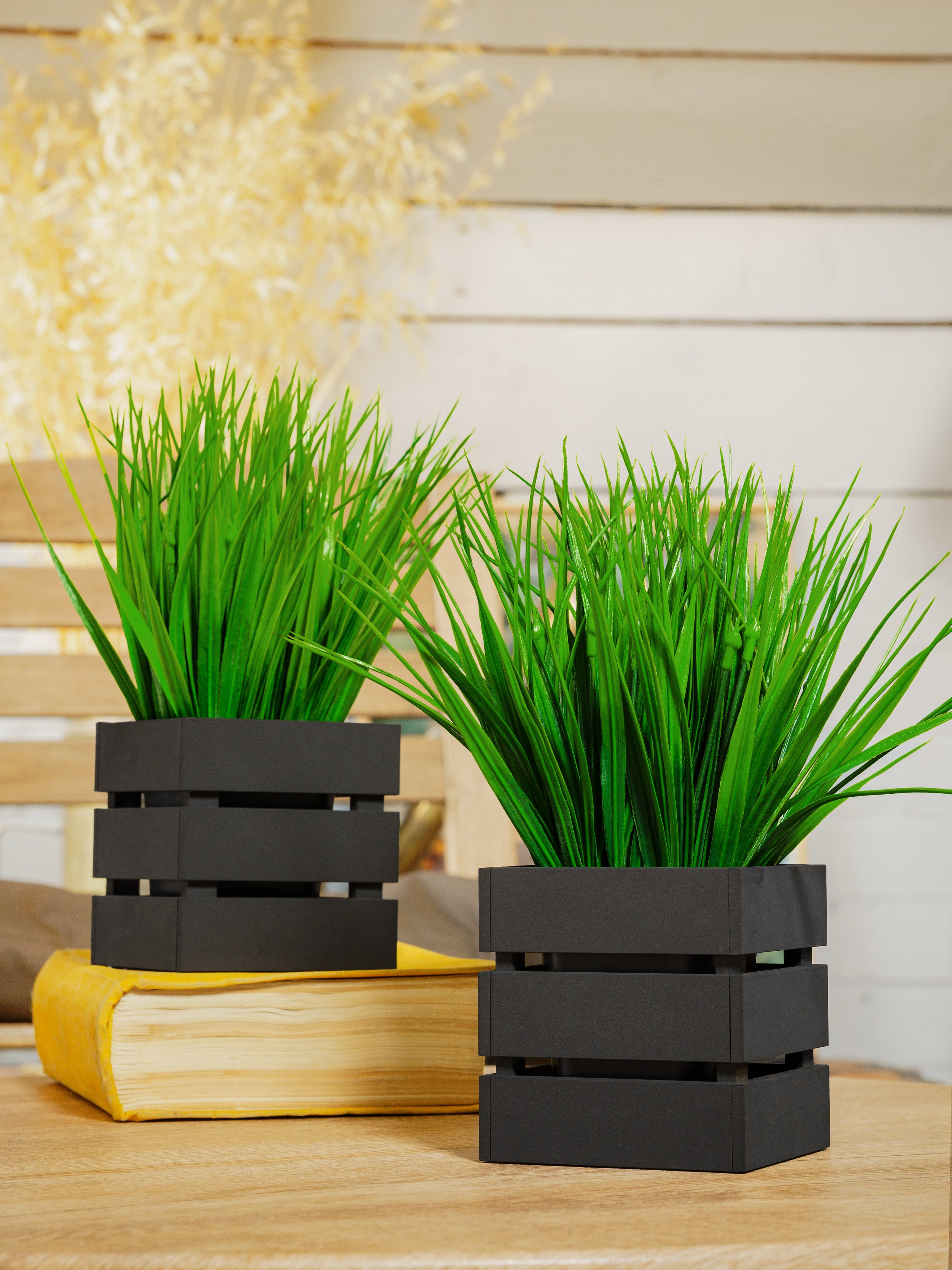 Кашпо. Макаров Сергей|Creamlebot Фотограф города Ростов-на-Дону