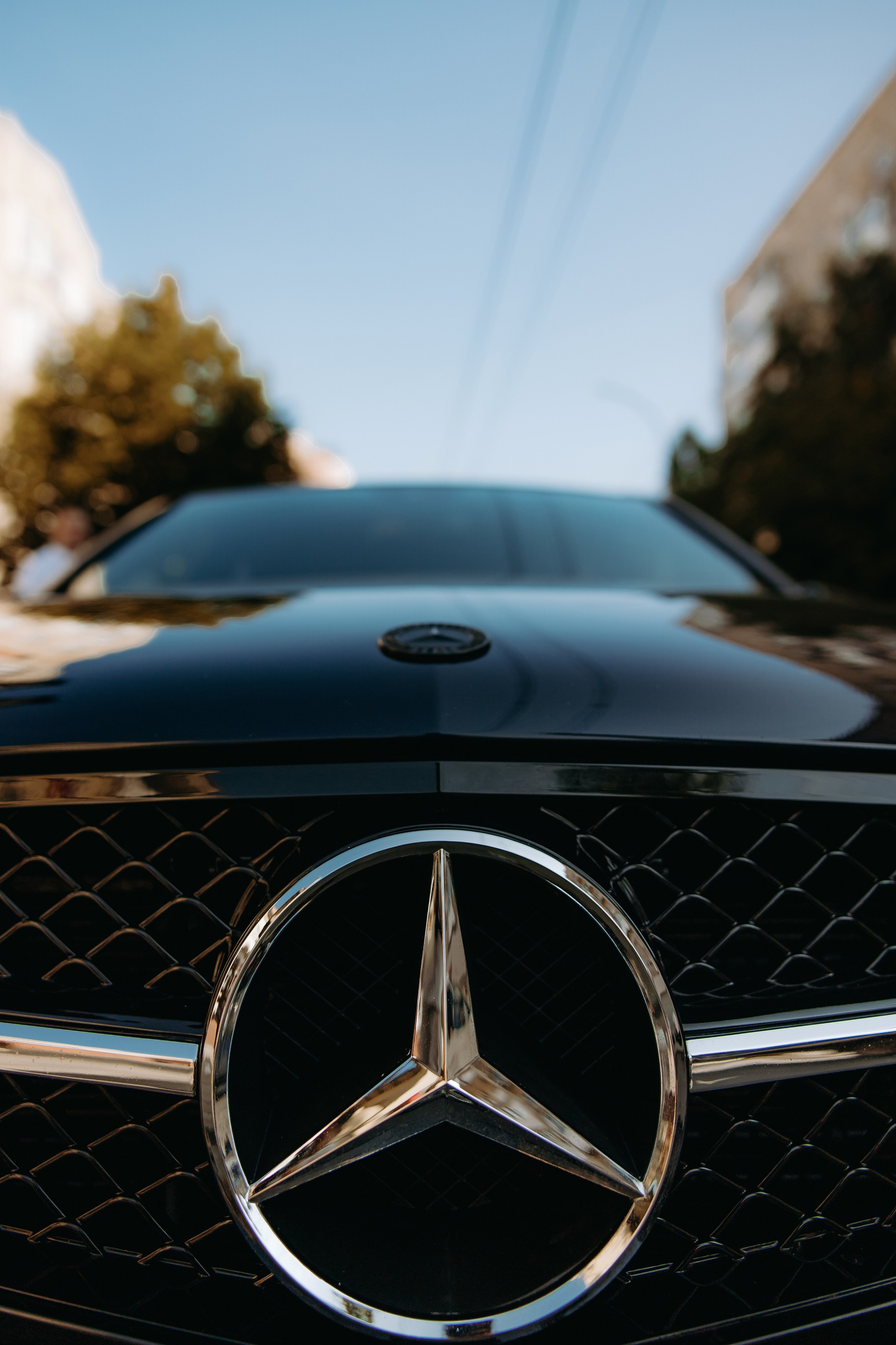 Дмитрий и Екатерина. Фотограф в Саратове Александр Кухаренко. И не только в Саратове :)