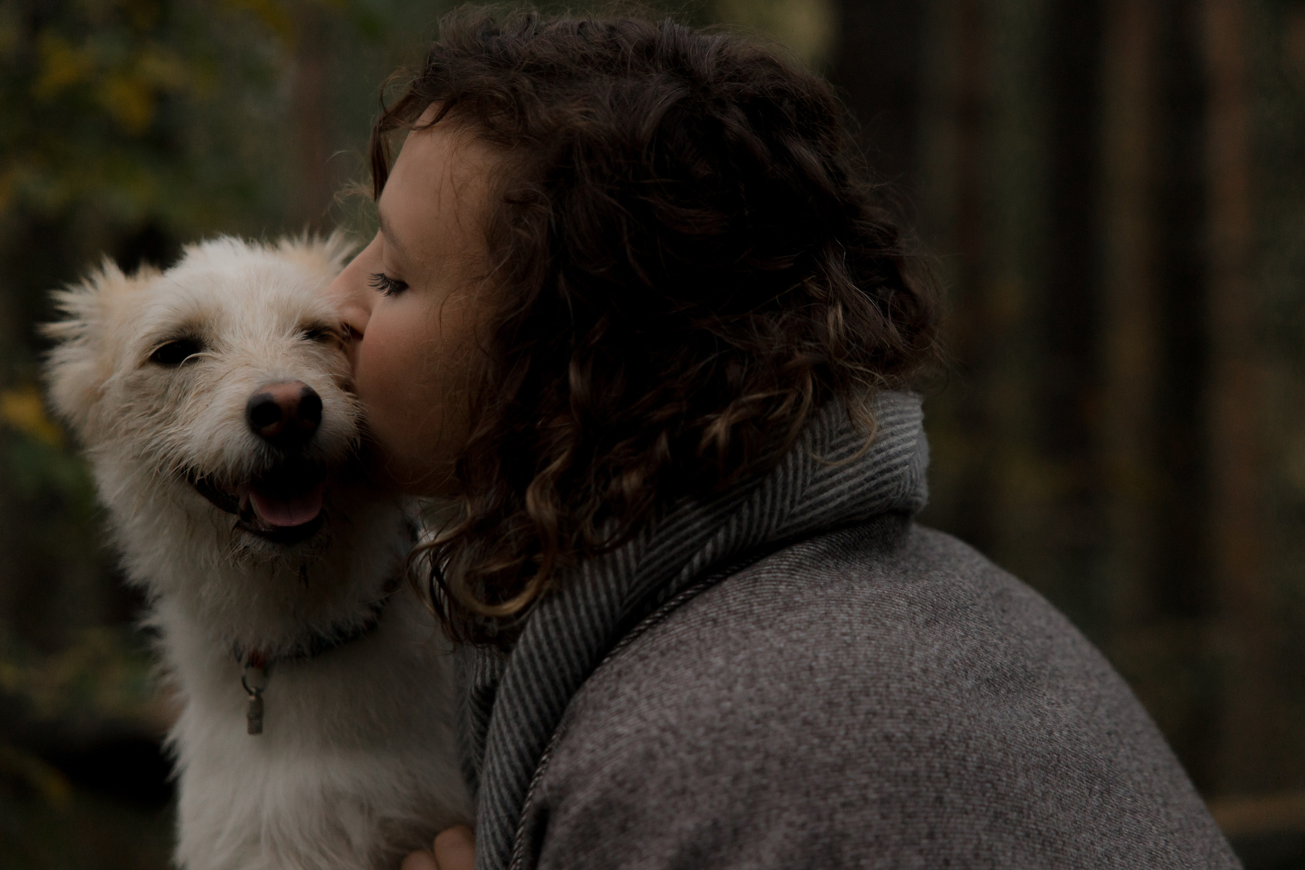 Трое, считая собаку. Wed Photographers 📷 Saint Petersburg