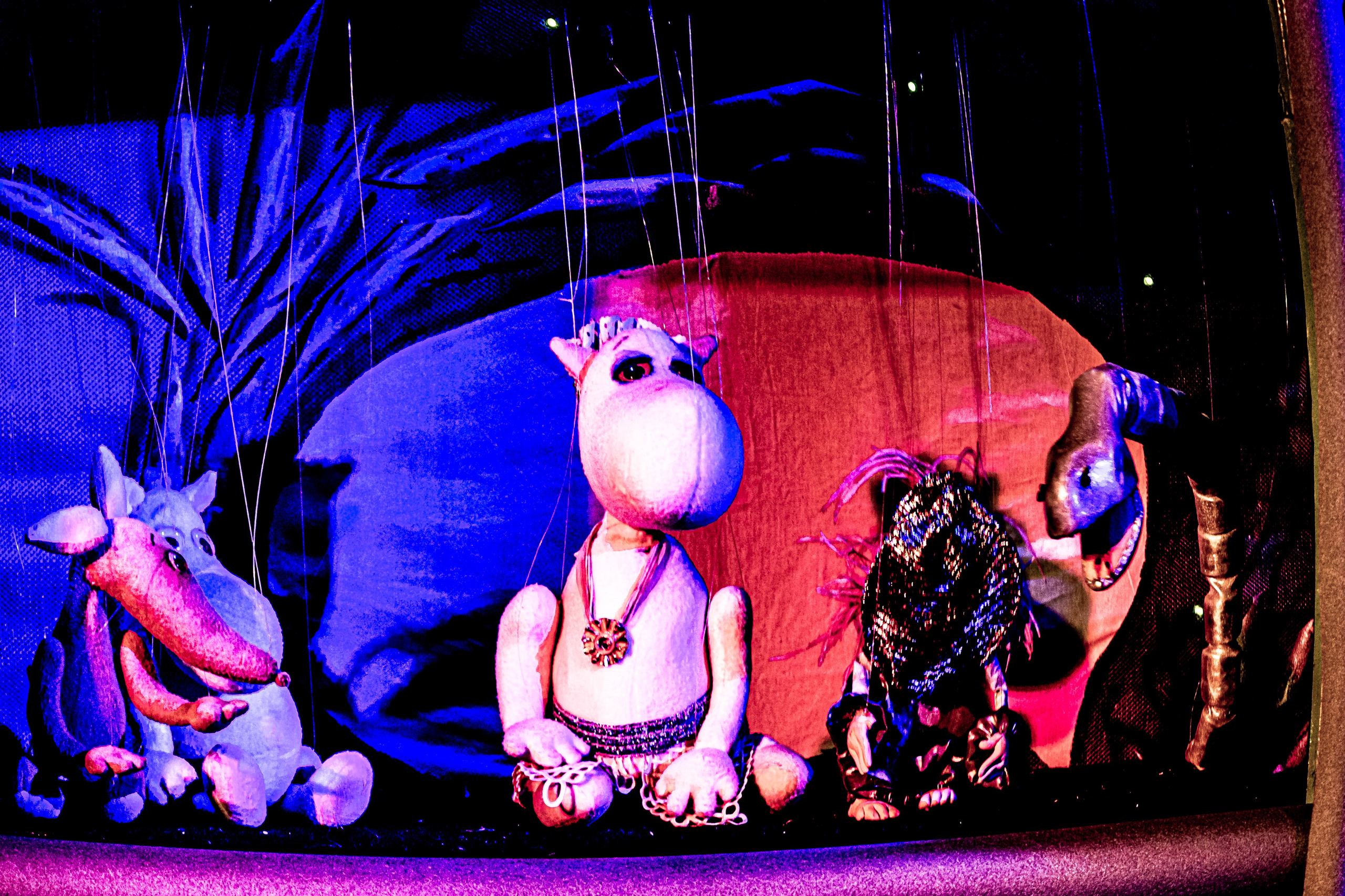 «Муми тролли и большое наводнение». Фотограф в Сочи Юрий Шептаев