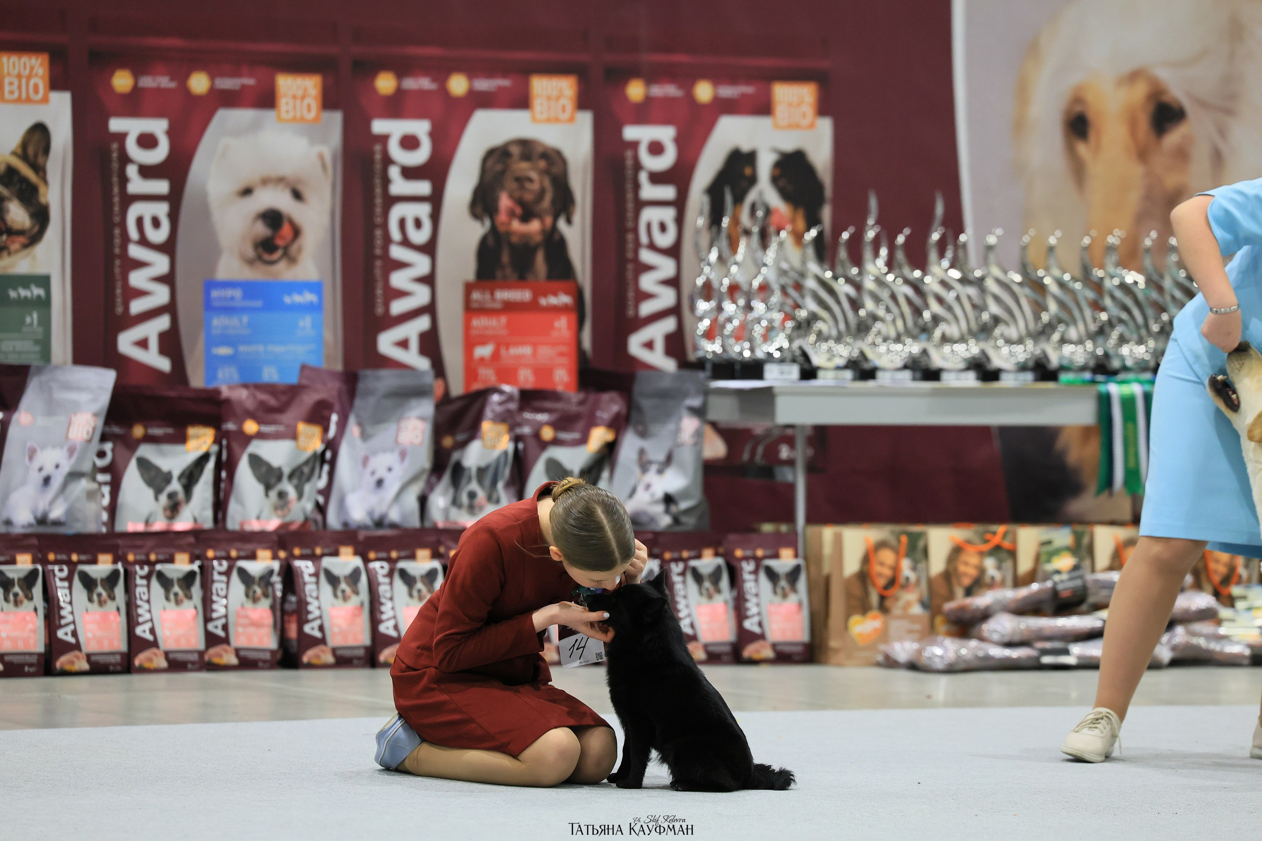 28-29.03.2026 Рейтинговая выставка в Новосибирске. Фотограф Анималист из Новосибирска Татьяна Кауфман