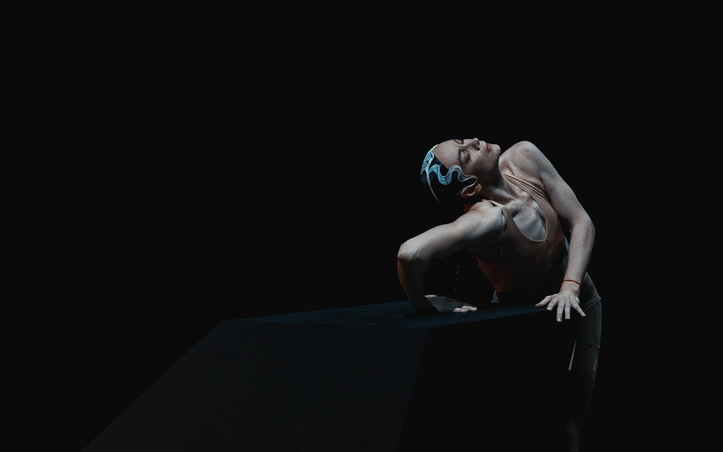 Прима балерины Мариинского театра Диана Викторовна Вишнёва и Дарья Владимировна Павленко в спектакле Дуо хореографа Павла Глухова проект фестиваля Context