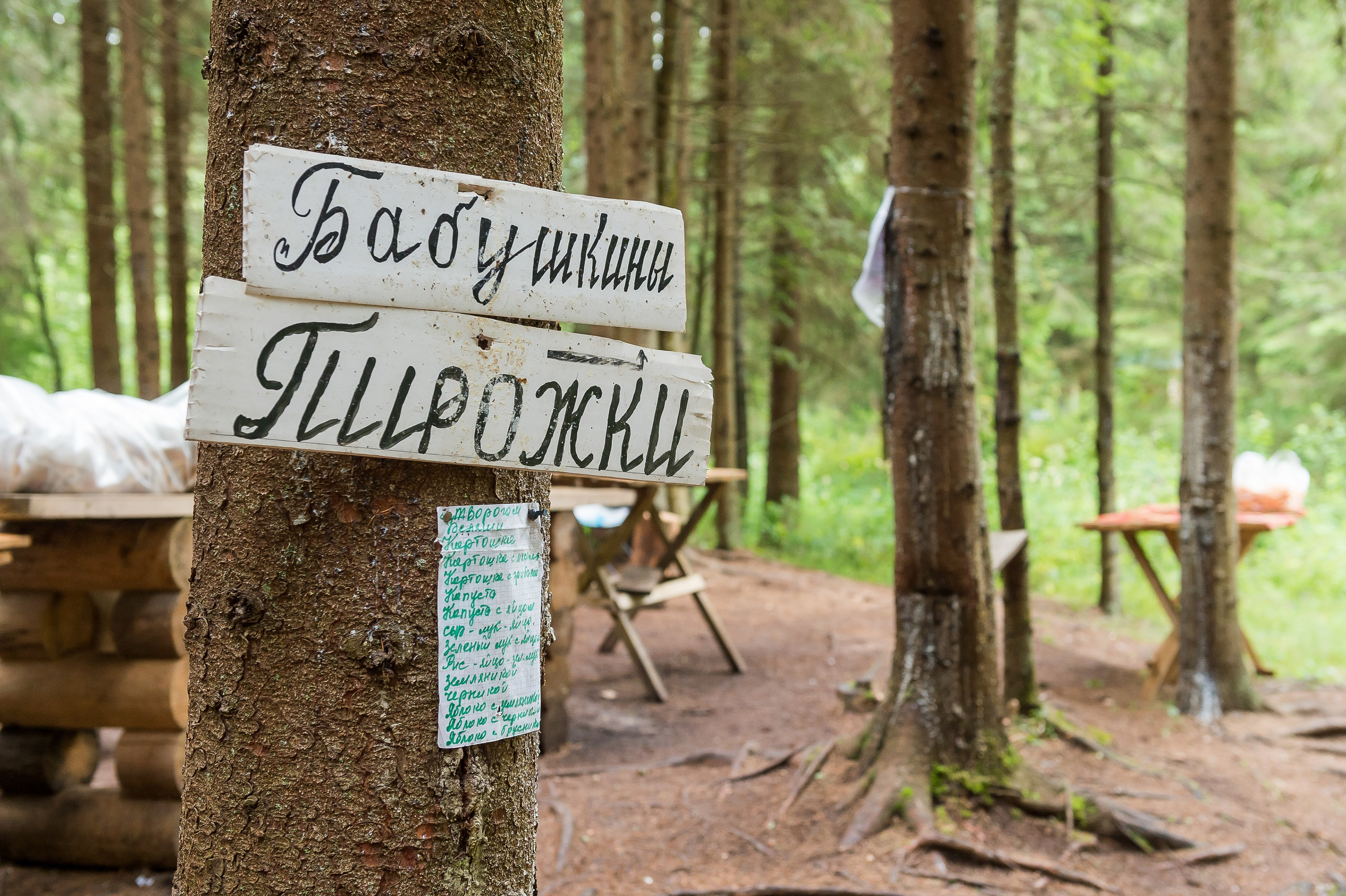 Освящение Оковецкого святого источника. 2015 год. Дима Бабушкин. Фотограф. Подиум. Репортаж. Творчество. Дорого