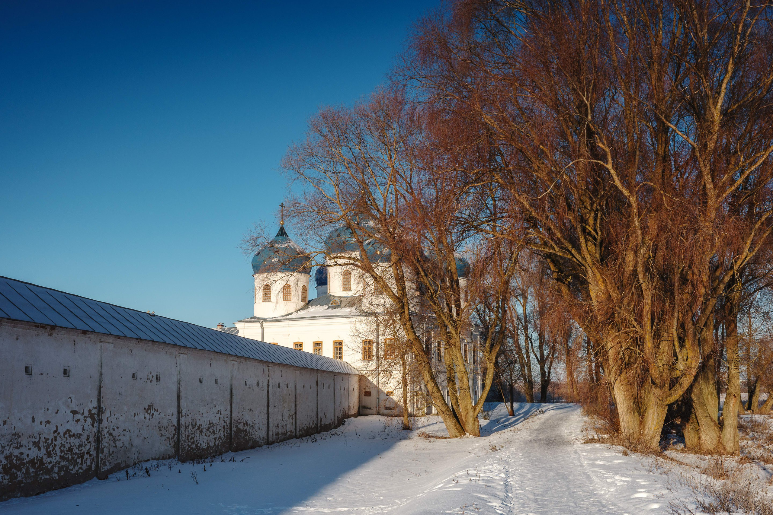 2024.01. Фотограф Алексей Алексеев